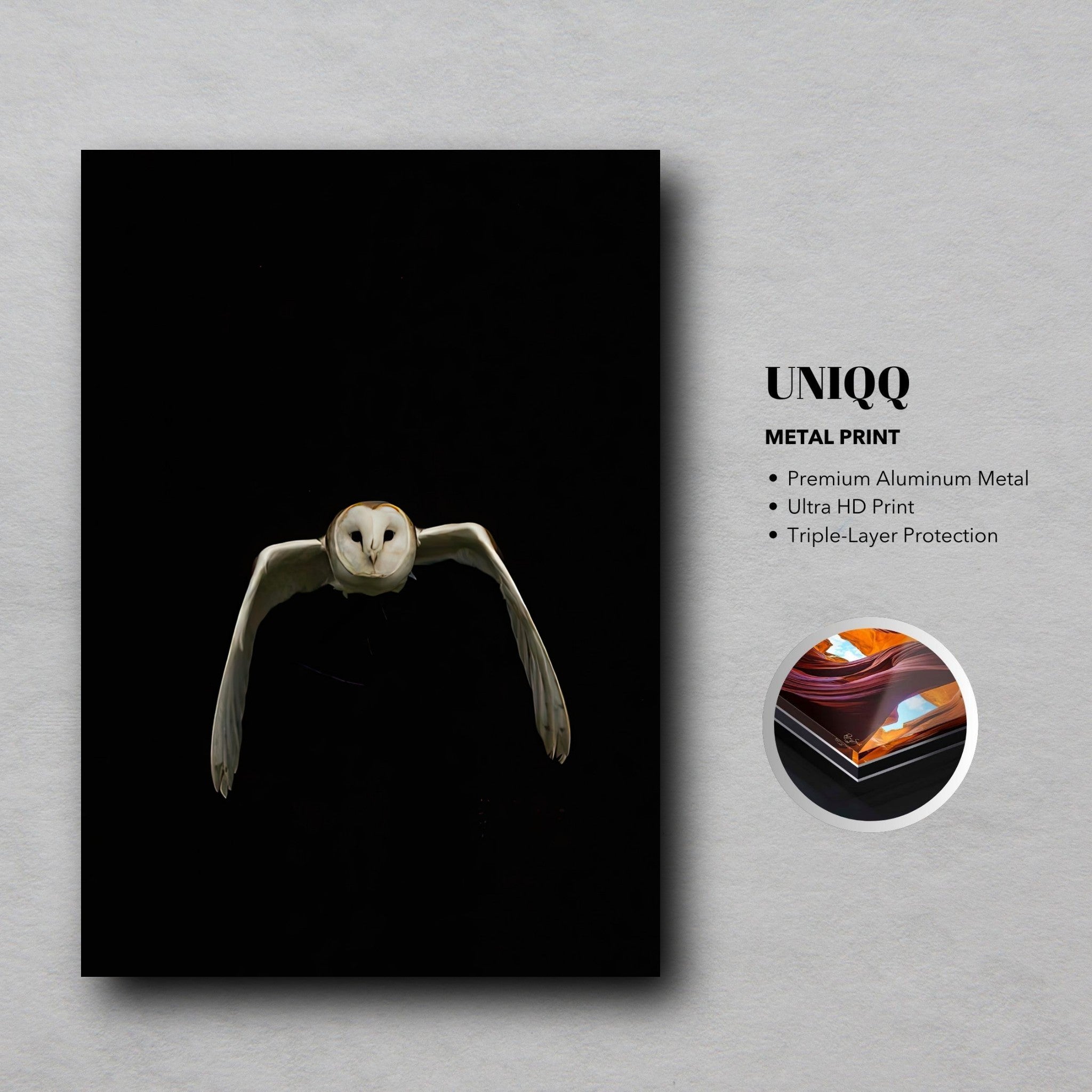 Owl metal print showcasing a majestic owl in flight against a dramatic black background.
