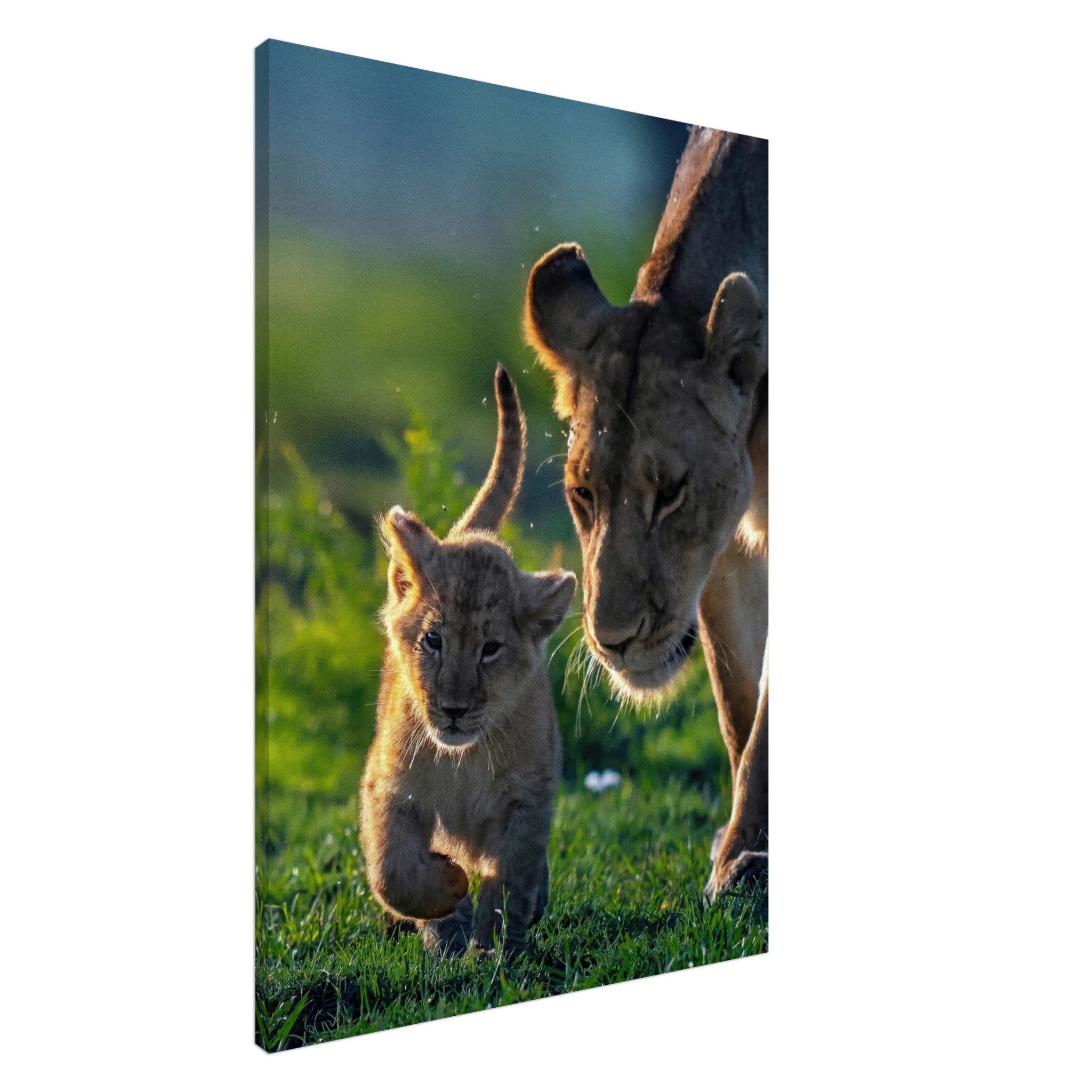 Protective lion mother canvas featuring a lioness with her cub in a vibrant natural setting.