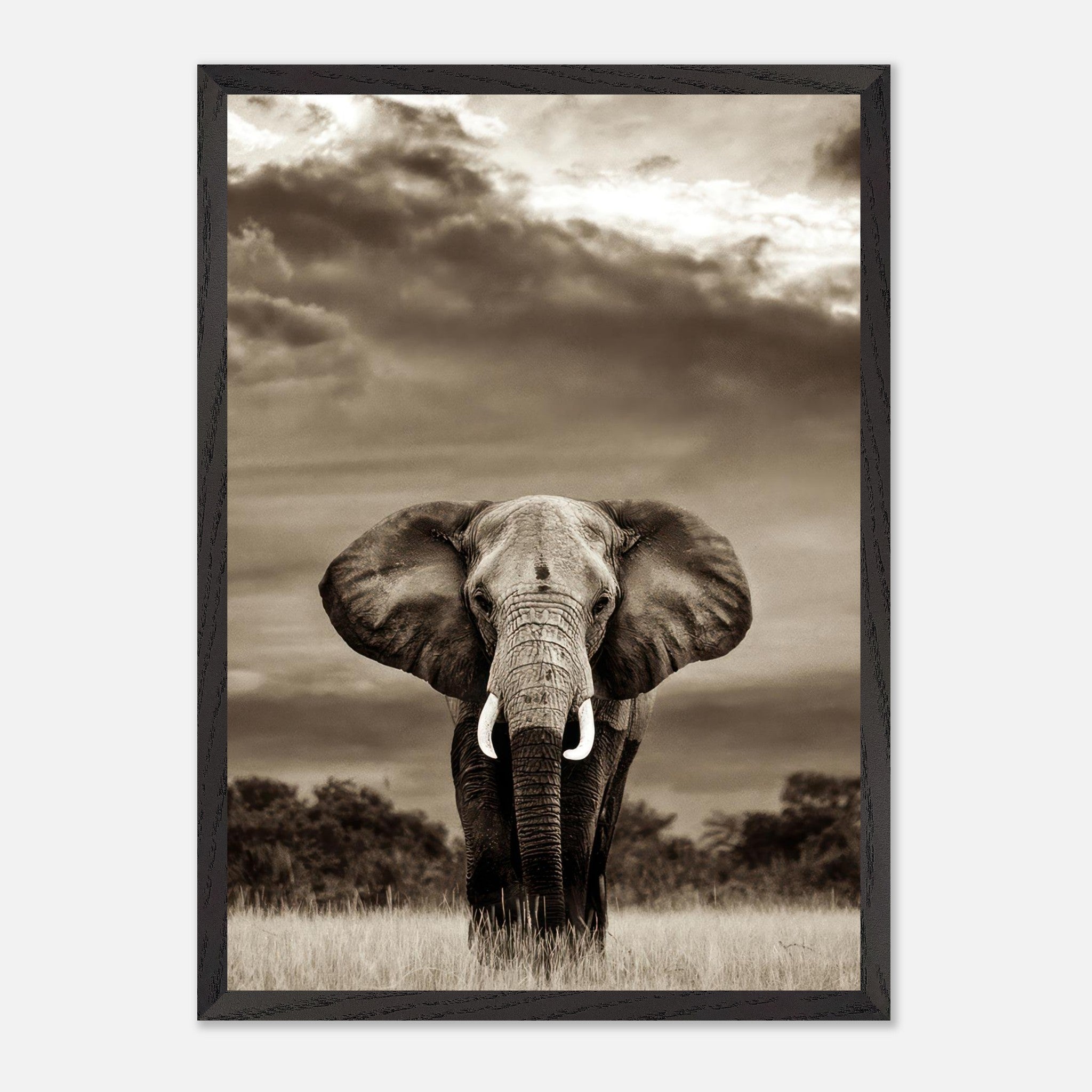 Black and white elephant portrait photography print, showcasing strength and grace in natural habitat.