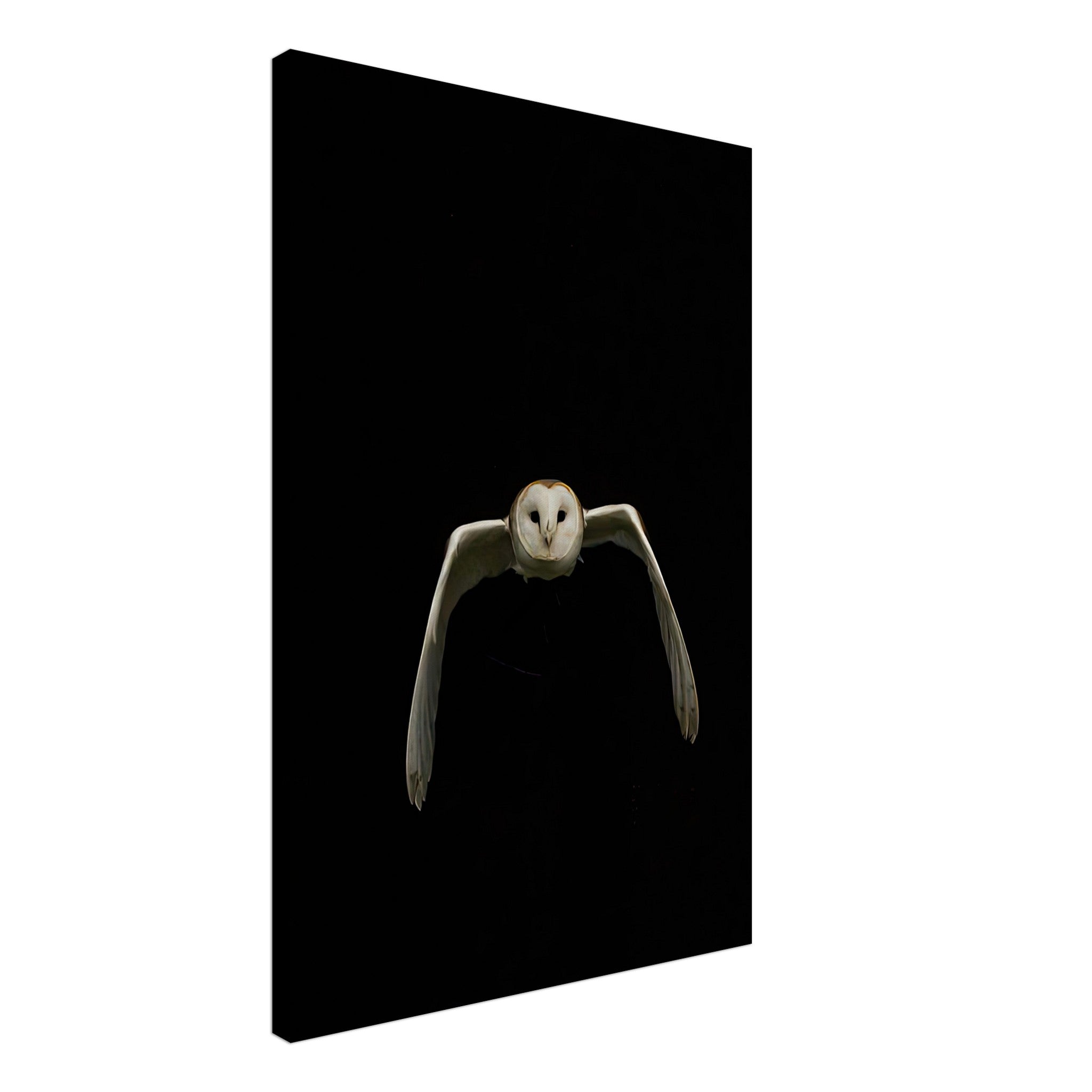 Stunning owl canvas artwork featuring a flying owl against a deep black background, perfect for nature lovers.