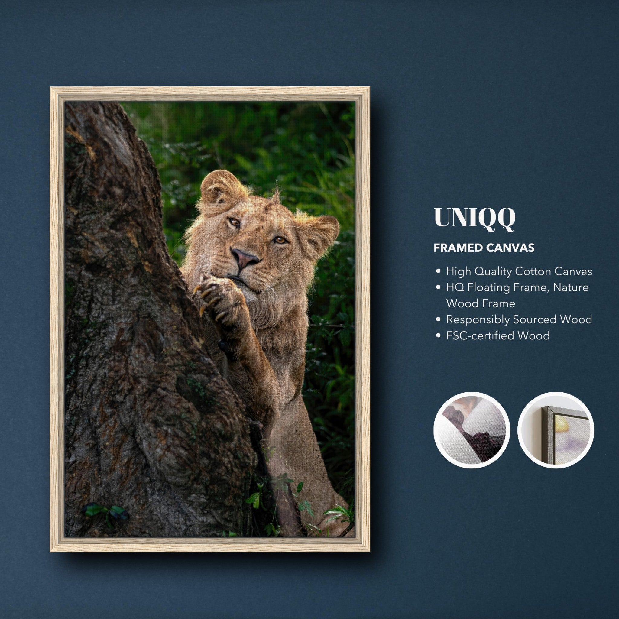 Playful lion canvas print framed in natural wood, showcasing a young lion peeking from behind a tree.