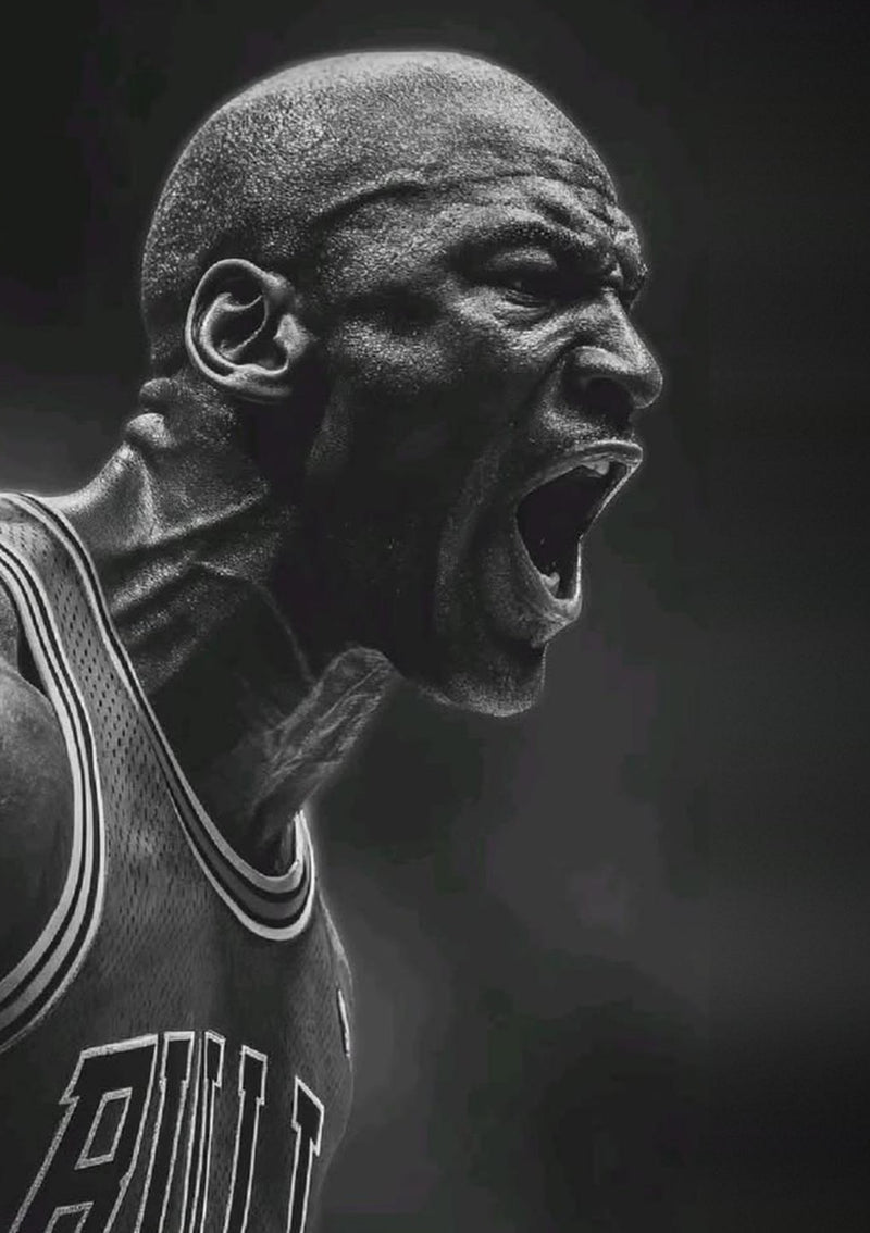 Michael Jordan Chicago Bulls