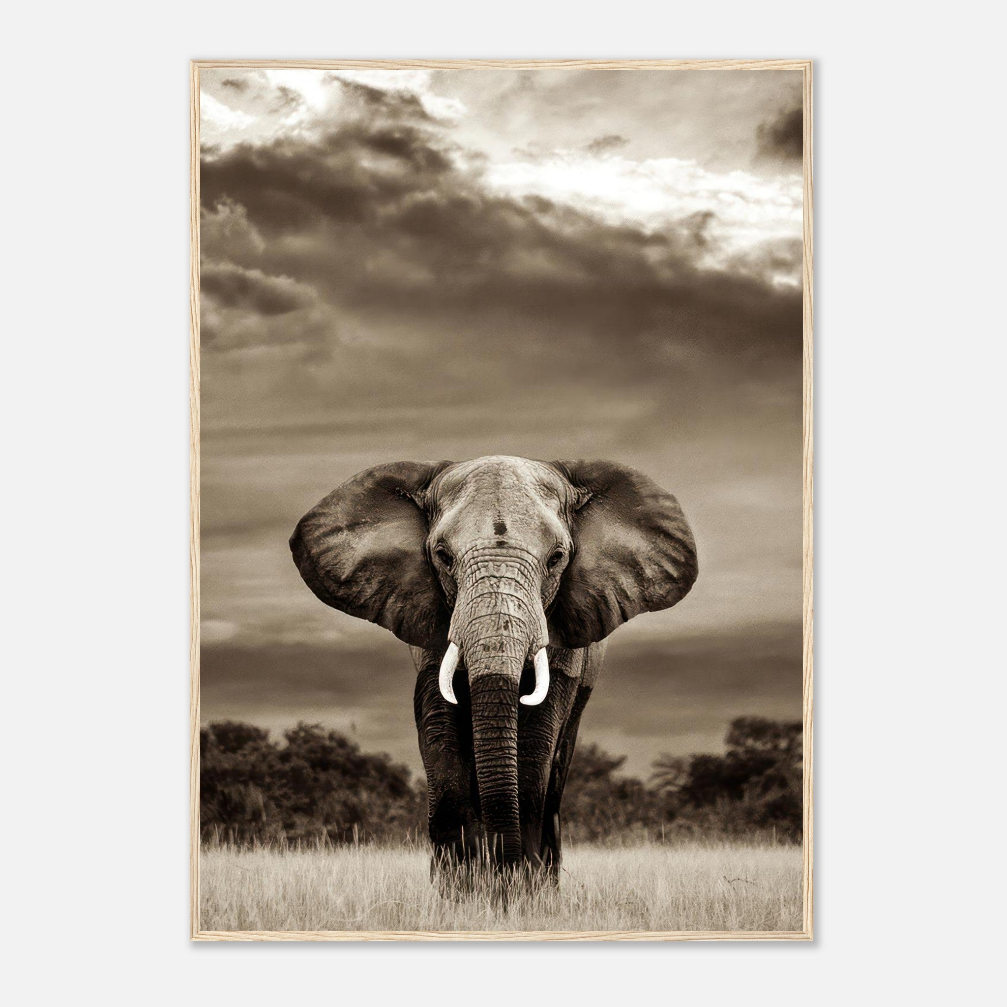 Framed print of a majestic elephant portrait in black-and-white against a dramatic sky, showcasing elegance and strength.