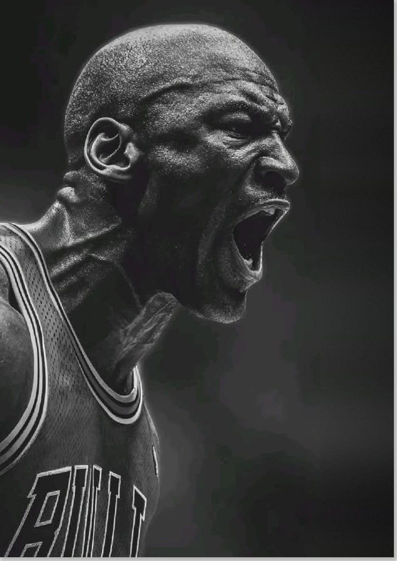 Michael Jordan Chicago Bulls