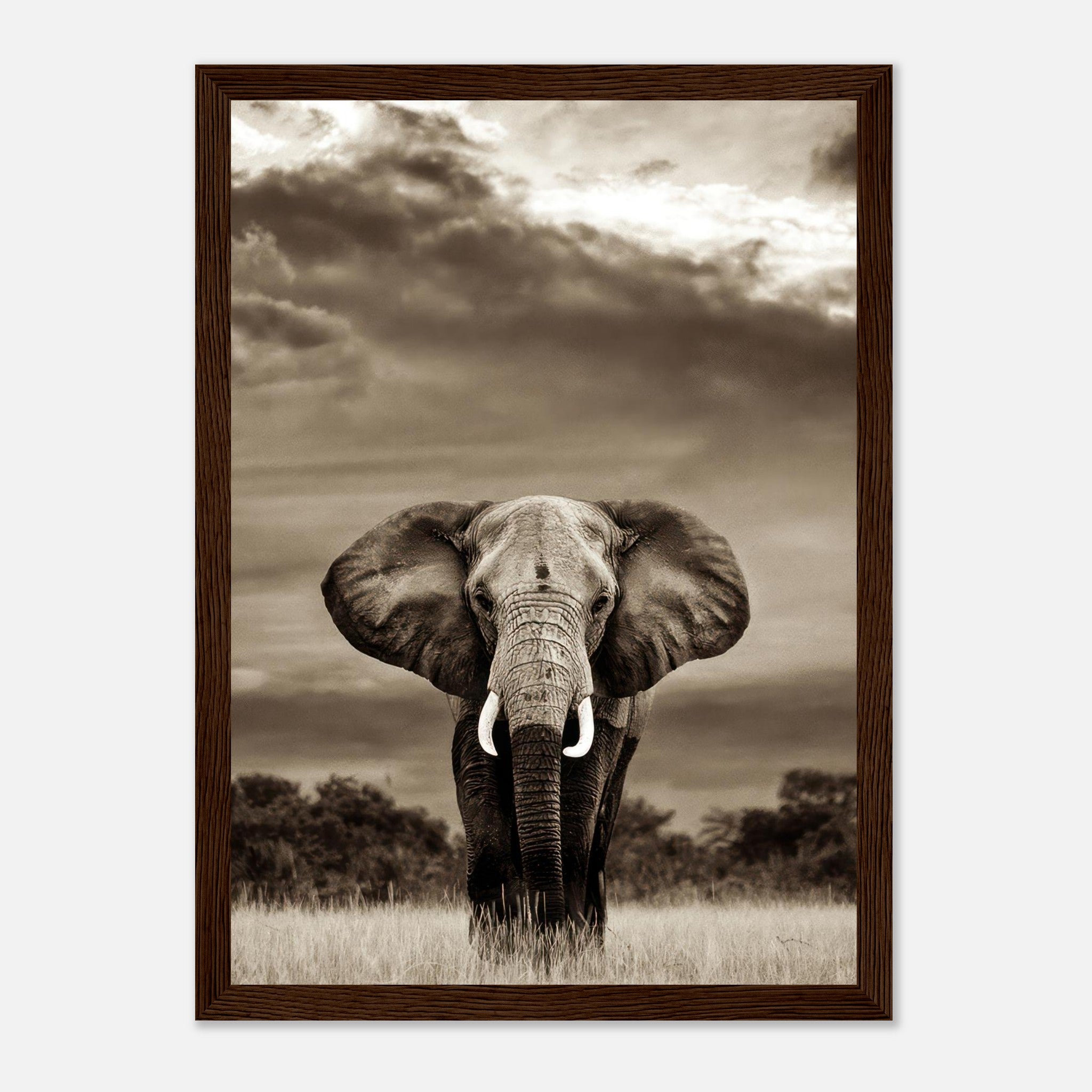 Framed black-and-white elephant portrait print with dramatic sky, symbolizing elegance and strength.