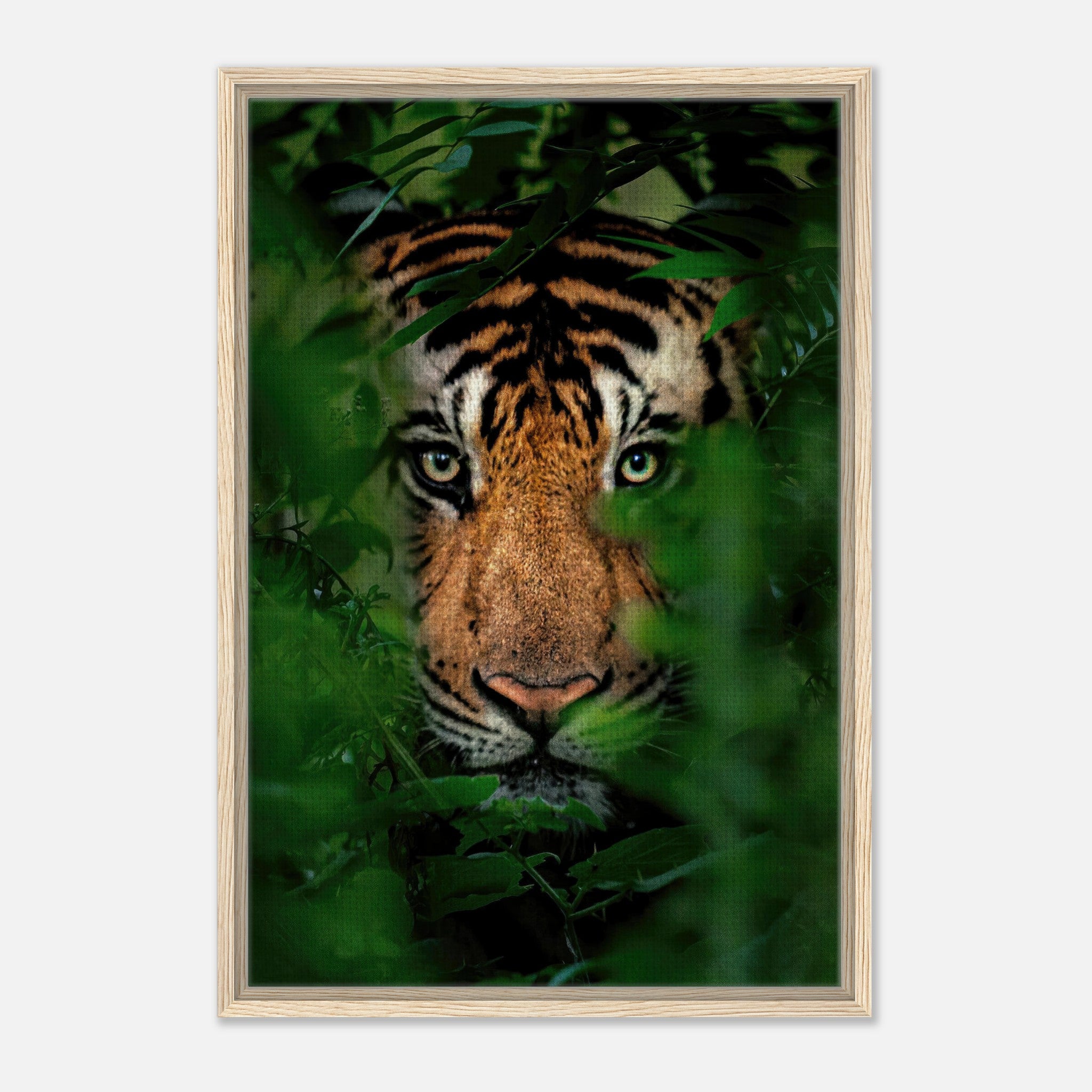 Fierce tiger peering through jungle foliage in a framed canvas print, capturing wild beauty and detail.