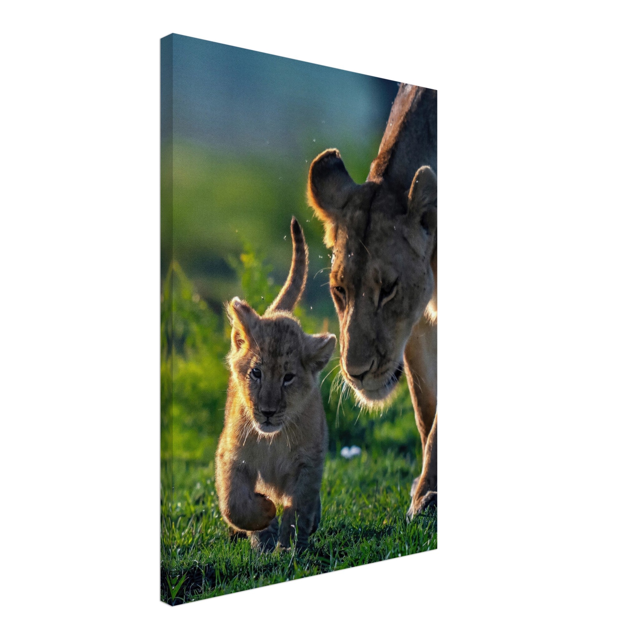 Protective lion mother and cub walking together in vibrant green grass, showcasing strength and tenderness.