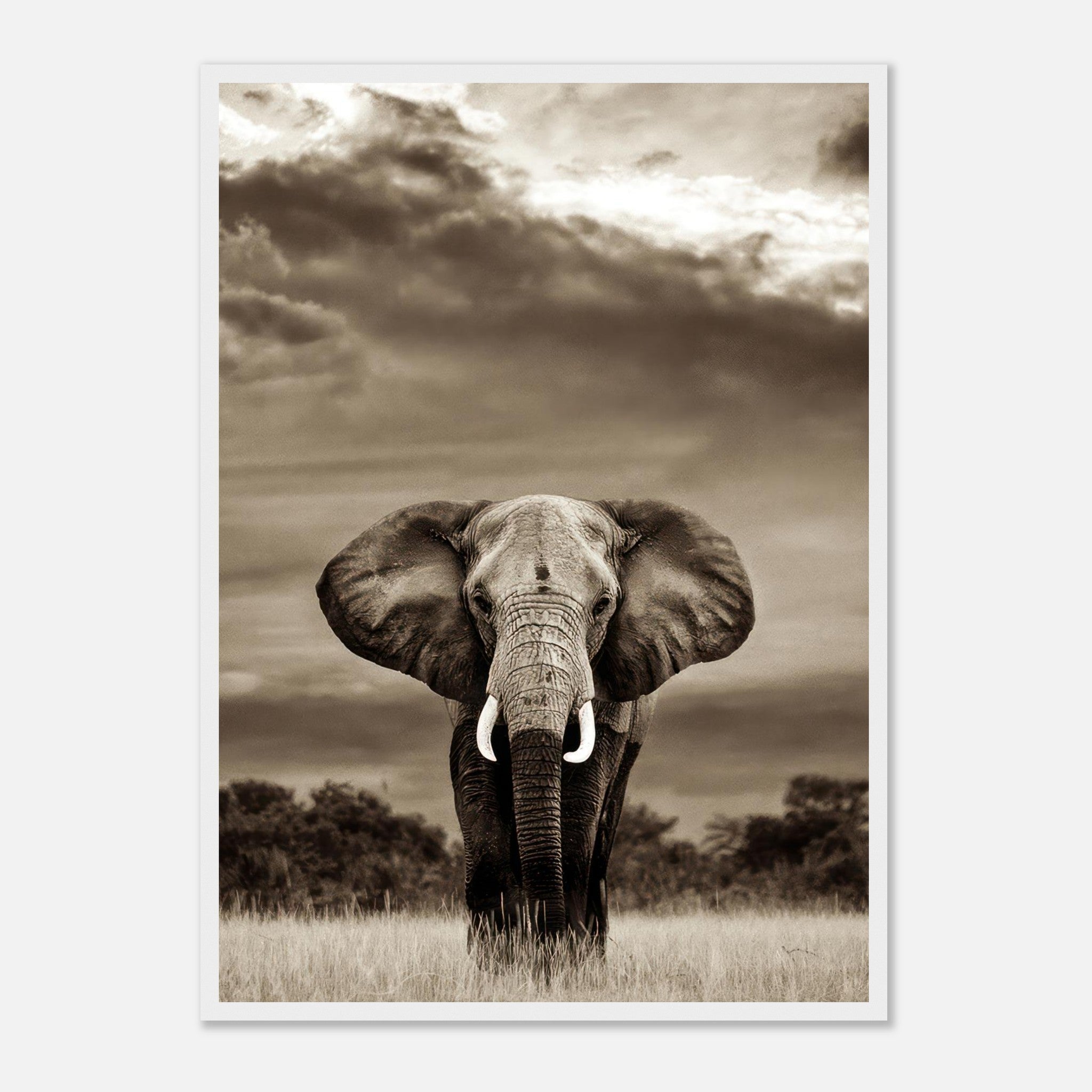 Black-and-white elephant portrait photography framed print, showcasing the strength and majesty of this magnificent creature.