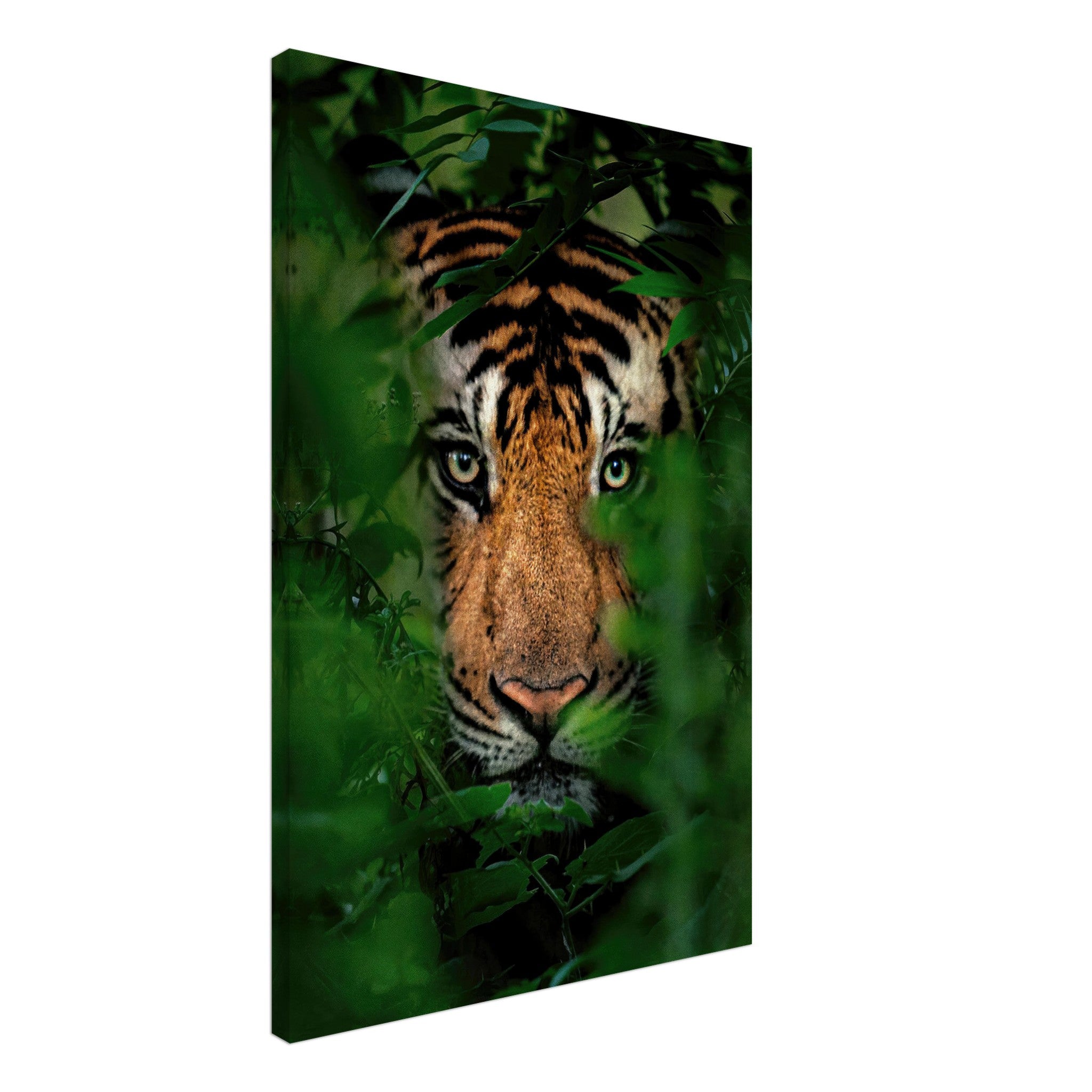 Majestic tiger eyes peeking through lush green foliage on canvas, capturing the wild's strength and elegance.