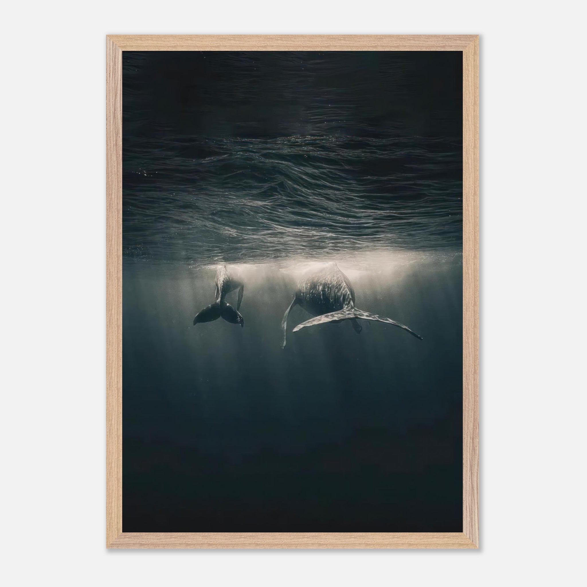 Vintage framed print of whales swimming underwater, showcasing tranquility and elegance in the ocean's depths.