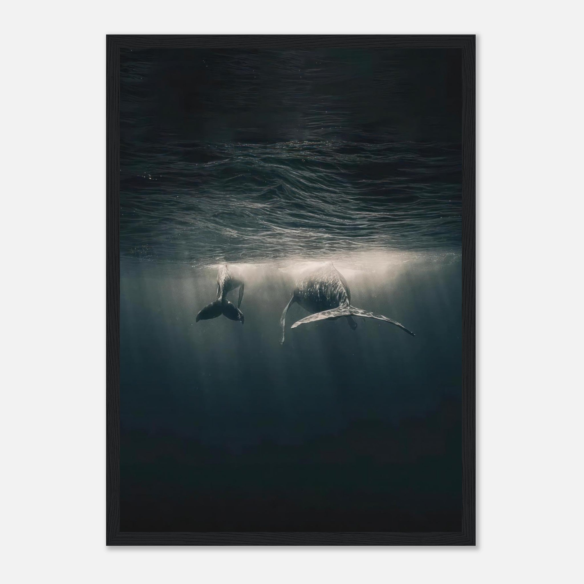 Majestic whales gliding underwater in the ocean, framed print capturing marine beauty and serenity.