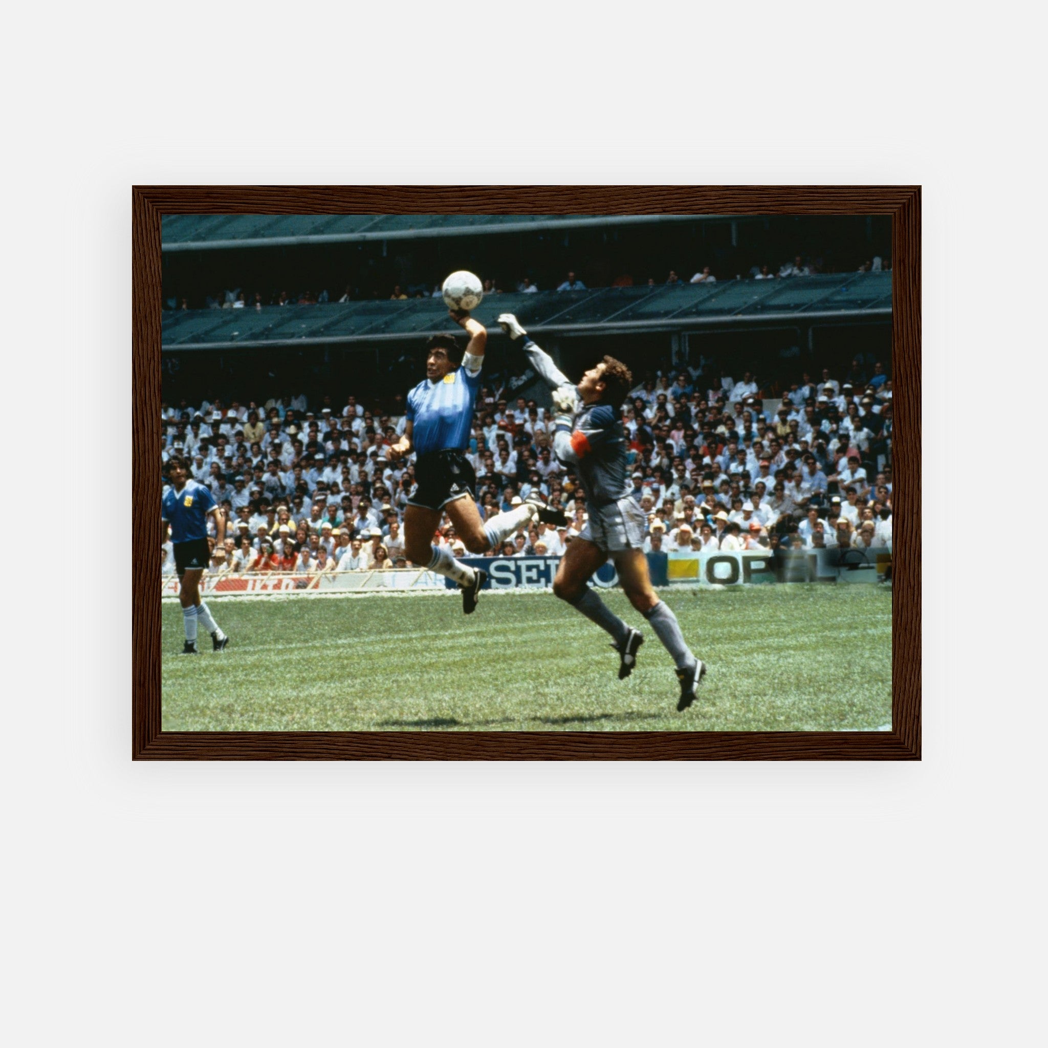 7ff551bf-2b92-475b-8739-69fa72143780