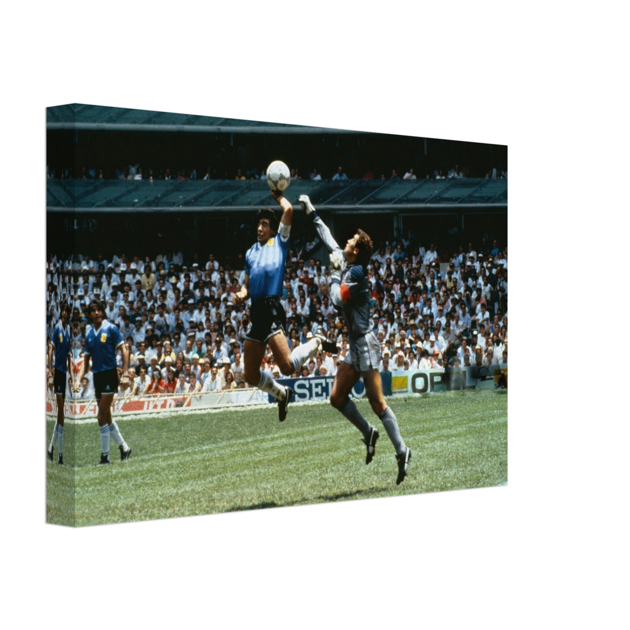 8082b275-089c-4224-a668-5c1c80998e37