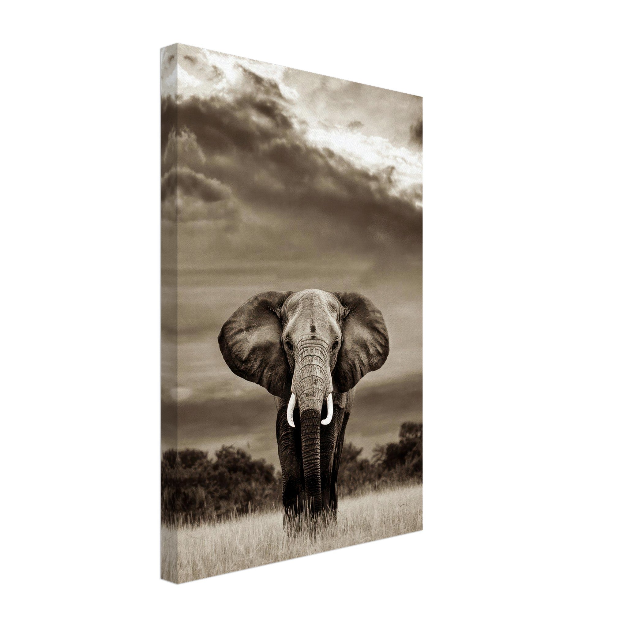 Stunning black-and-white elephant portrait canvas print showcasing intricate details and powerful presence.