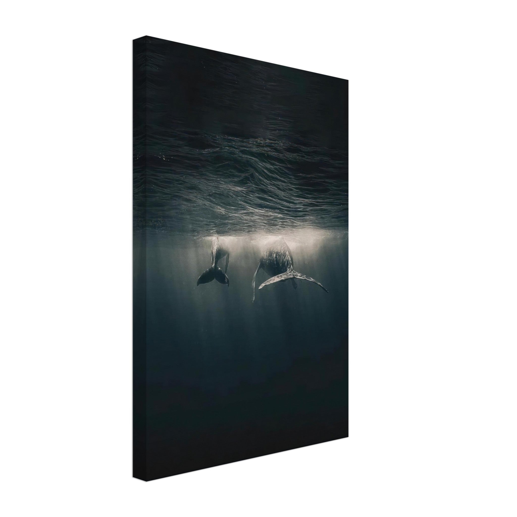 Whales gliding underwater illuminated by soft light, canvas print showcasing ocean beauty and tranquility.