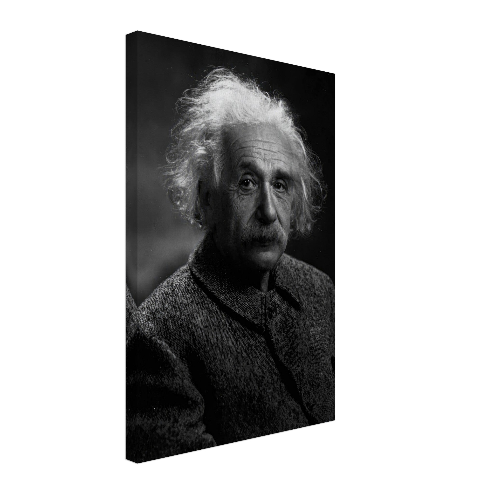 Black-and-white canvas print of Albert Einstein, capturing his wise expression, perfect for home or office decor.
