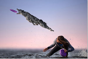 Hundefrisbee