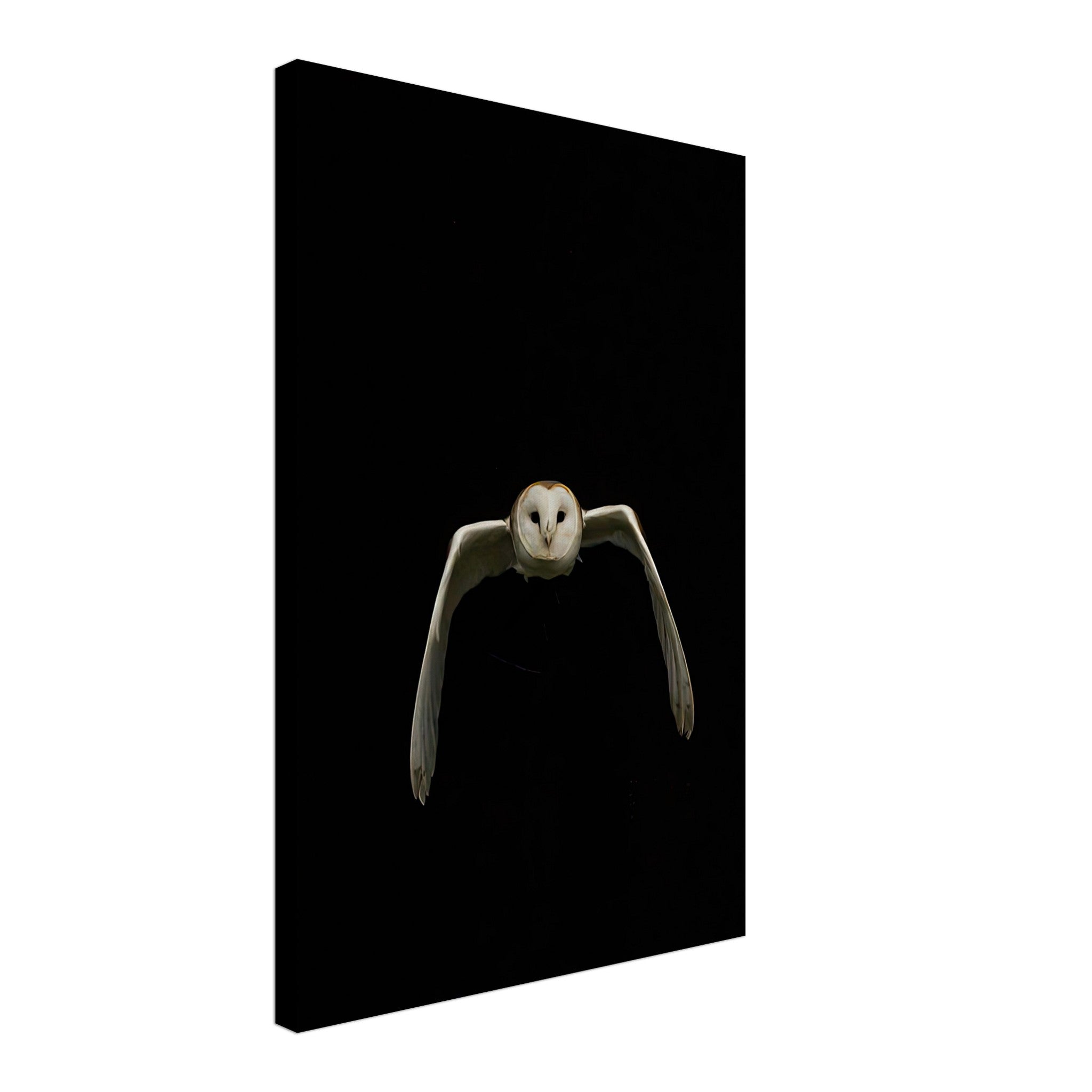 Owl canvas artwork showcasing an owl in flight against a deep black background, perfect for nature and art lovers.