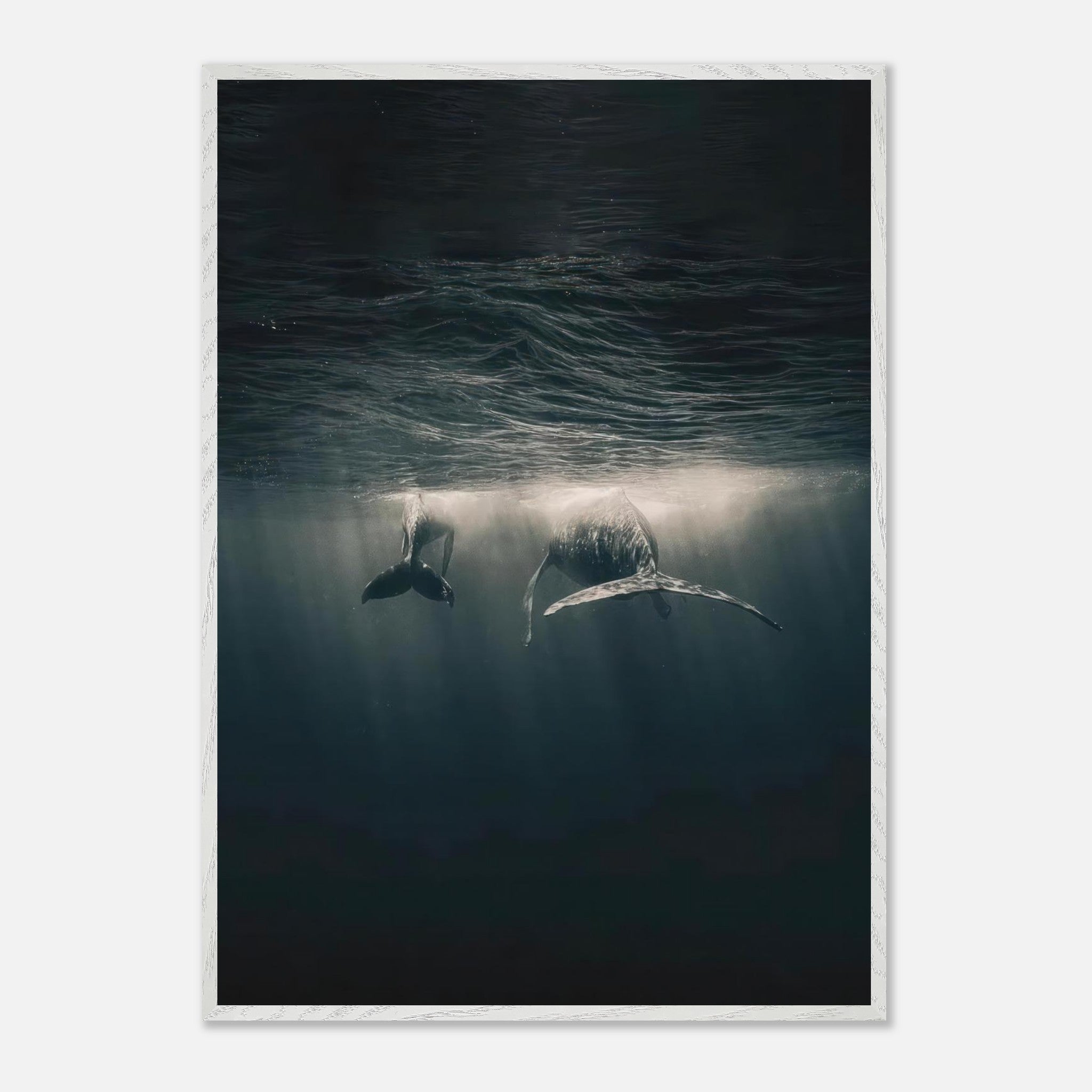 Majestic whales gliding underwater in serene ocean light, capturing tranquility and beauty in fine art print.