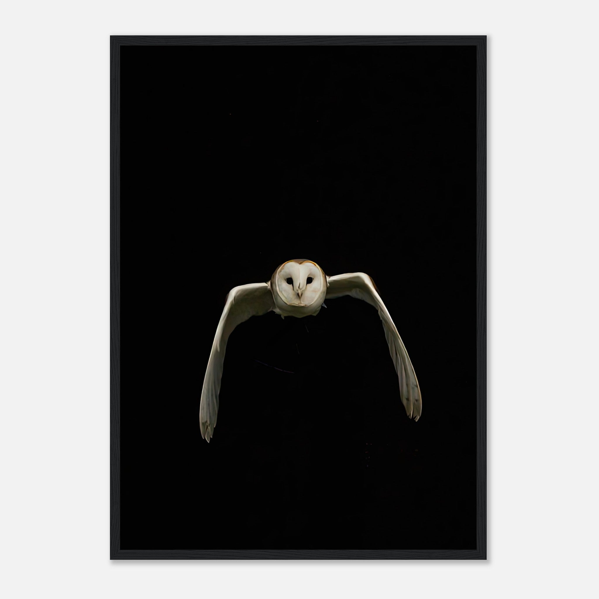Owl framed print showcasing a barn owl in mid-flight against a black background, adding elegance to any space.