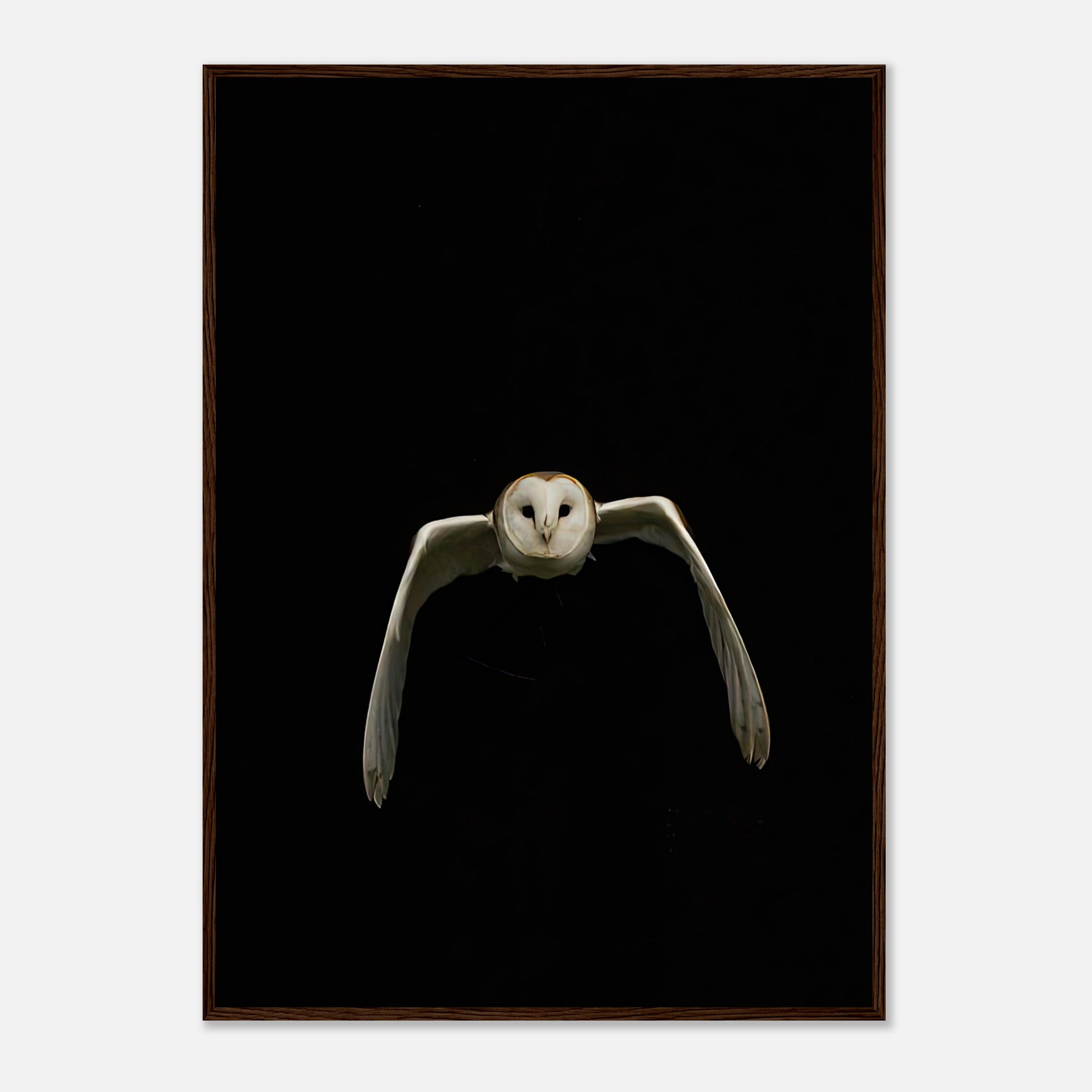 Stunning barn owl in mid-flight against a dramatic black background, framed print for modern decor.