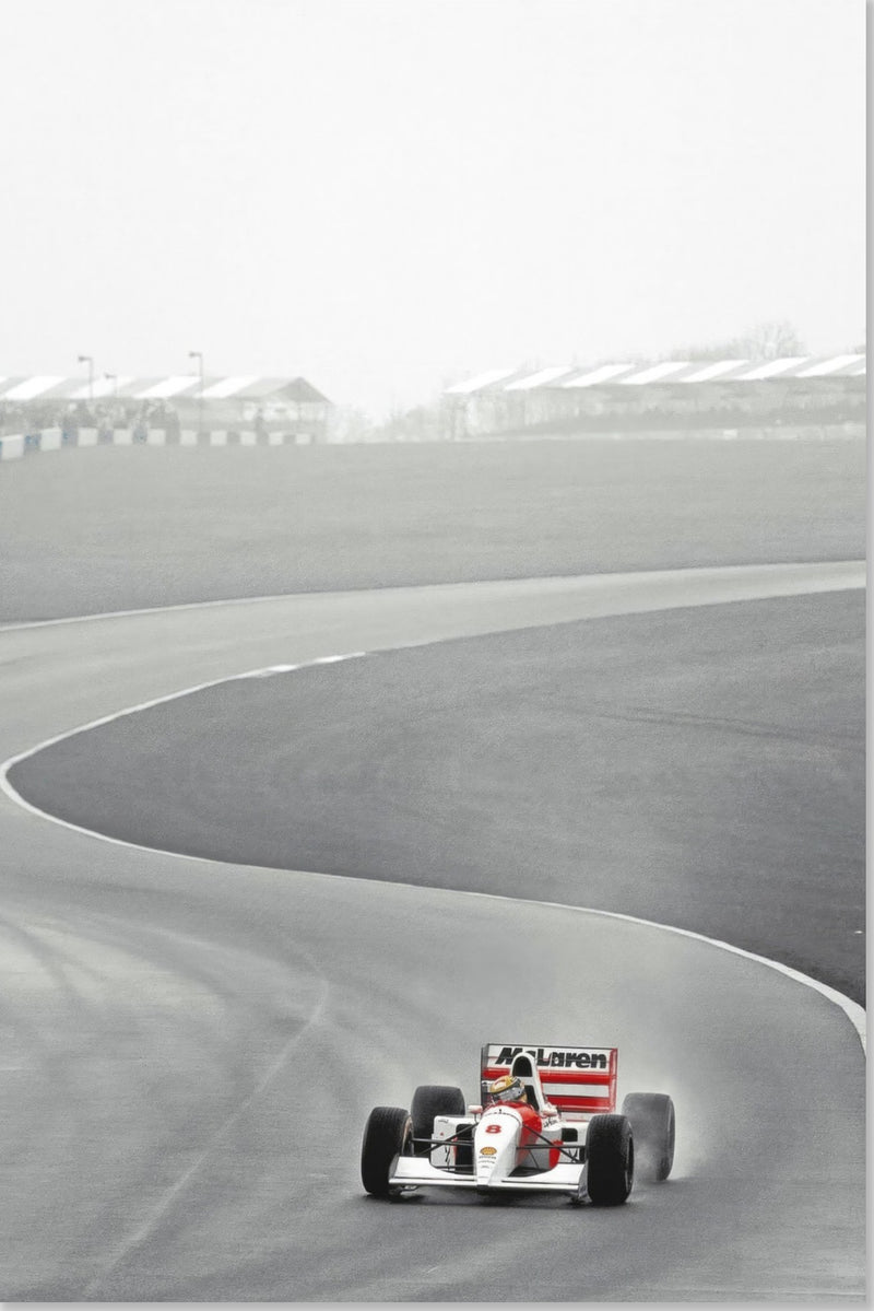 1988 Ayrton Senna Mclaren Photographie