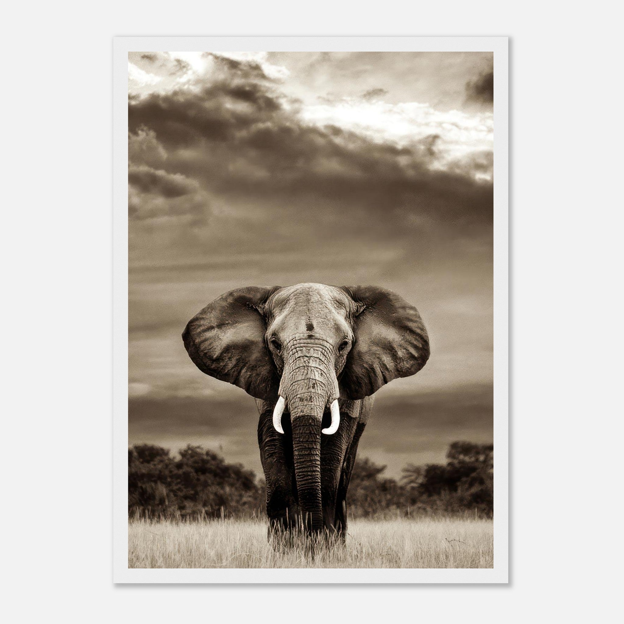 Majestic elephant portrait framed print in black-and-white against a dramatic sky, showcasing strength and elegance.