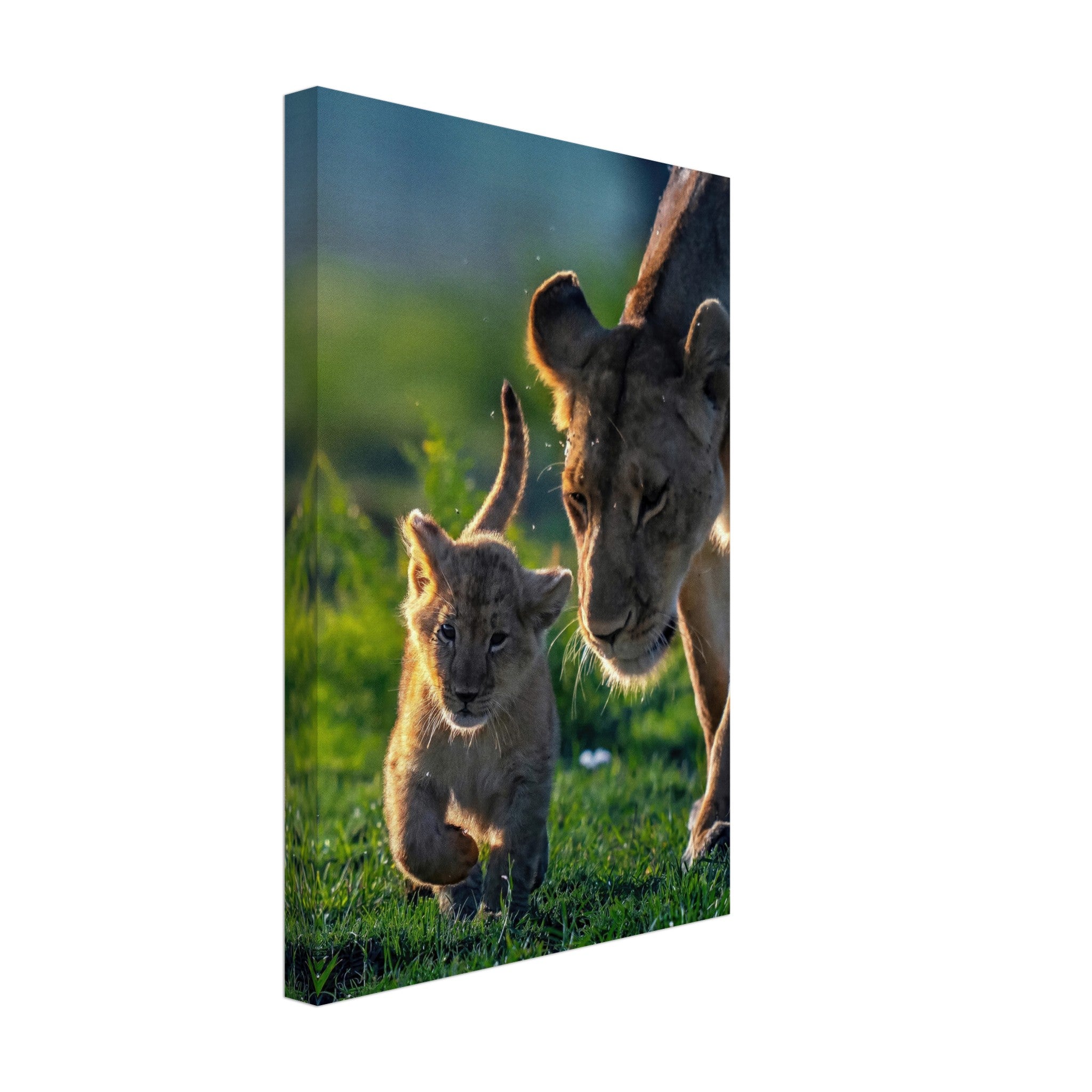 Protective lion mother canvas artwork featuring a lioness and her playful cub in a natural setting.