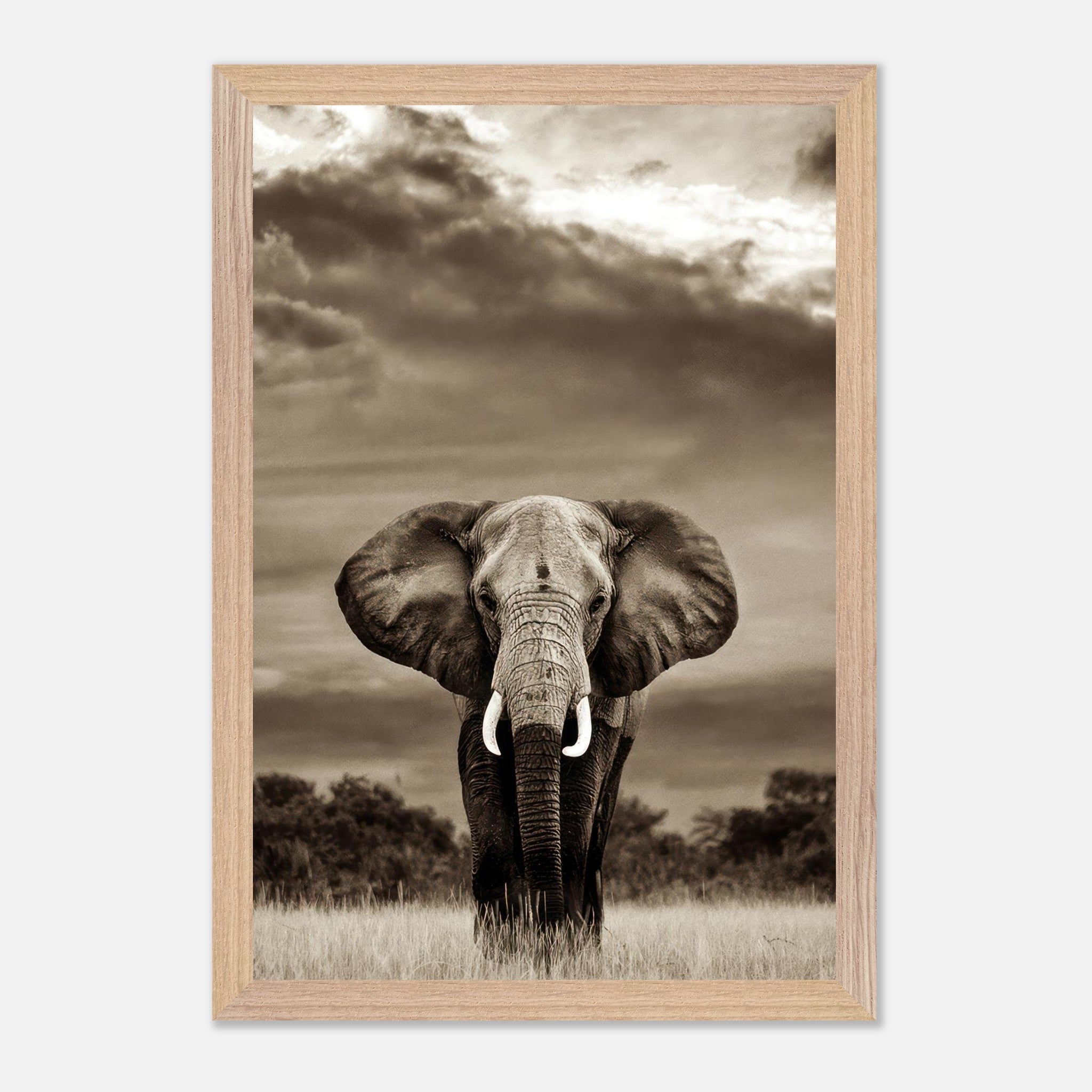 Stunning black-and-white portrait of an elephant in its natural habitat, showcasing strength and grace.