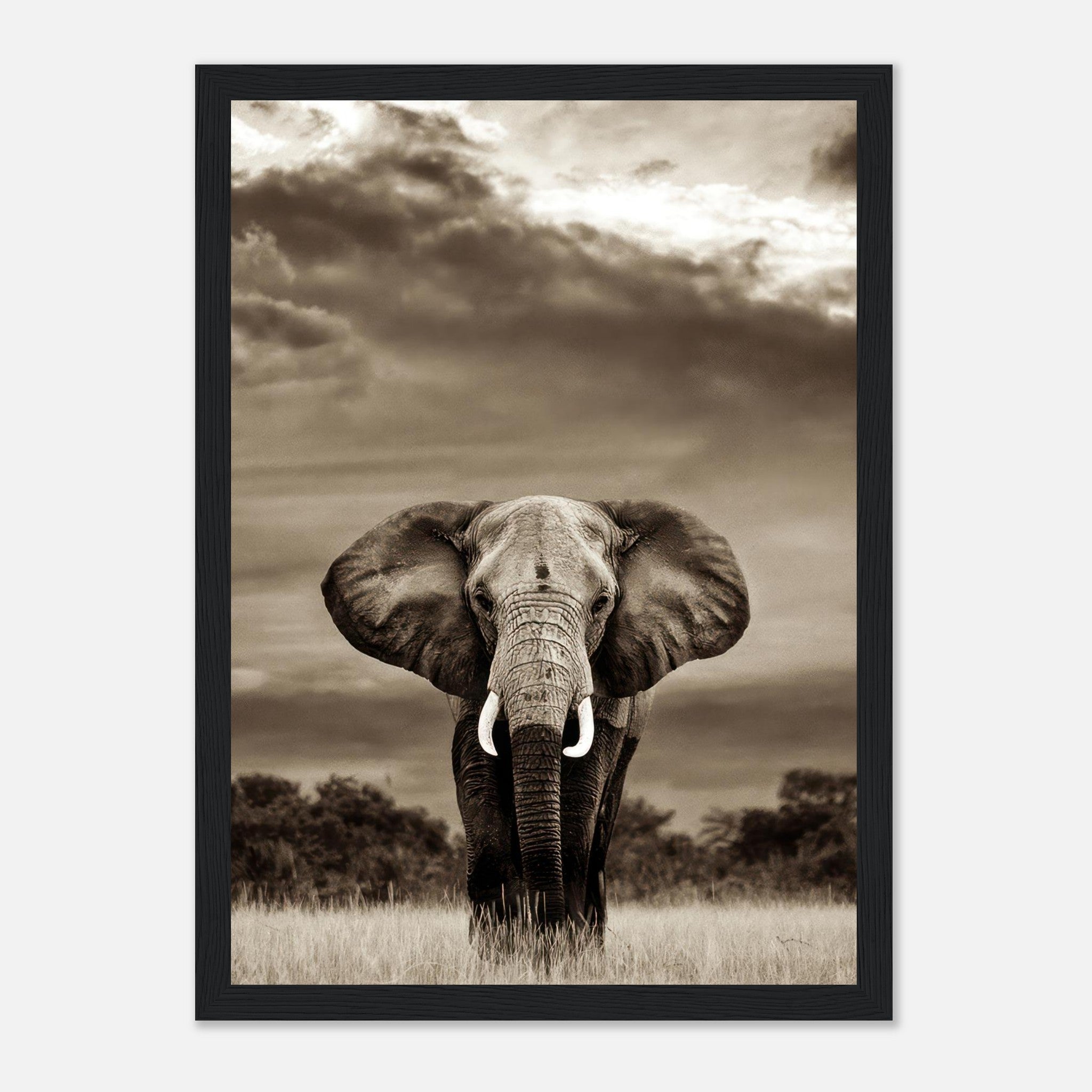 Framed black-and-white portrait of a majestic elephant against a dramatic sky.