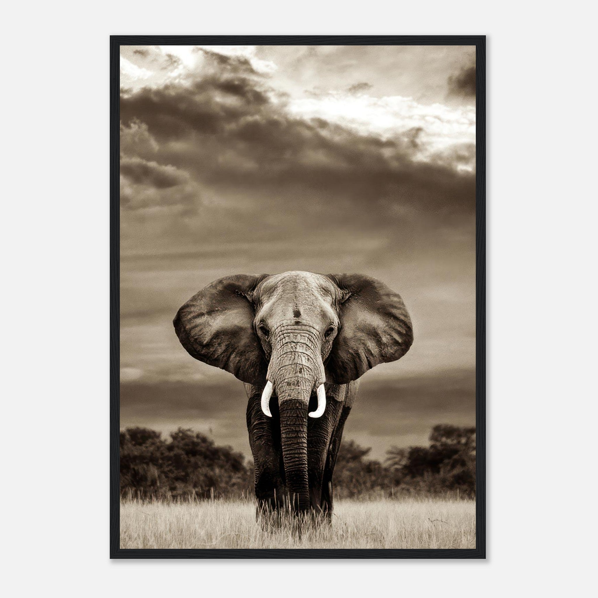 Black-and-white portrait of a majestic elephant framed print, showcasing strength and elegance against a dramatic sky.