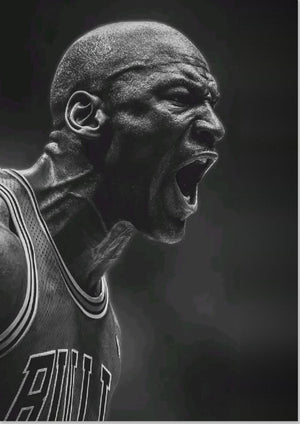 Michael Jordan Chicago Bulls