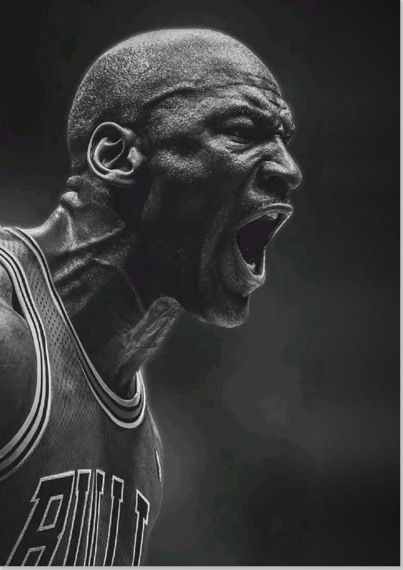 Michael Jordan Chicago Bulls