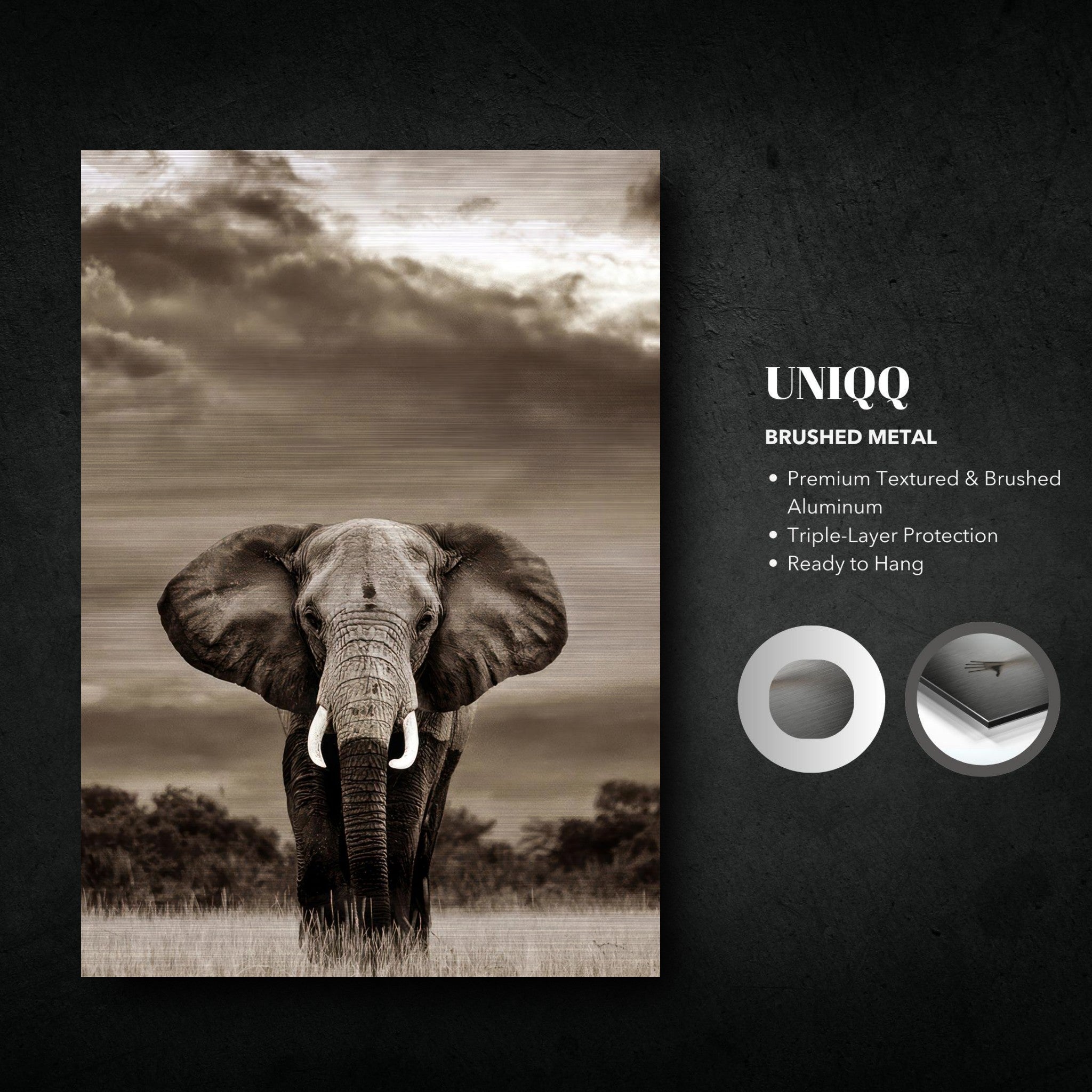 Elephant portrait photography on brushed metal, showcasing majestic detail and dramatic sky backdrop.