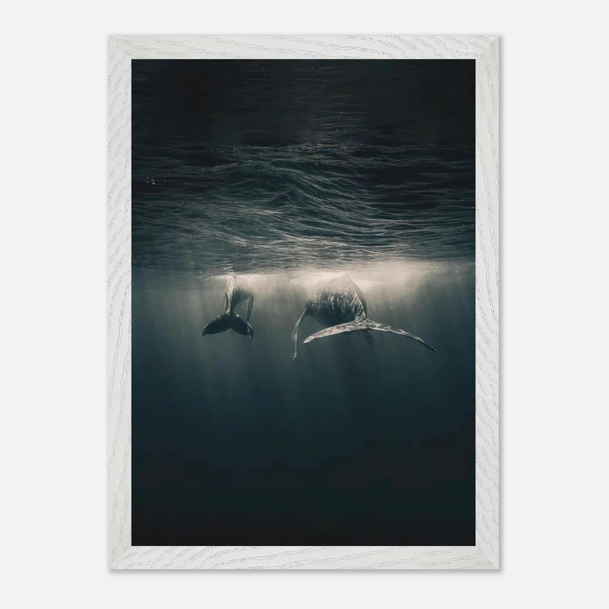 Vintage framed print of majestic whales swimming underwater, showcasing the tranquility of ocean life.