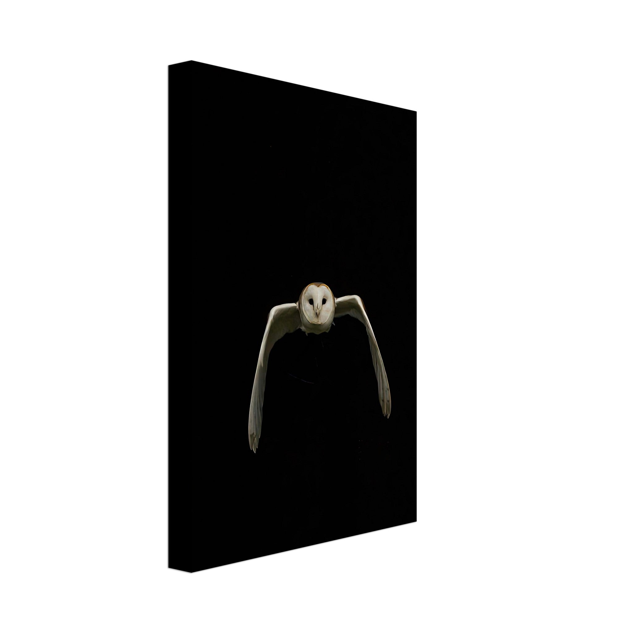 Owl canvas artwork featuring a majestic owl in flight against a deep black background, perfect for nature lovers.