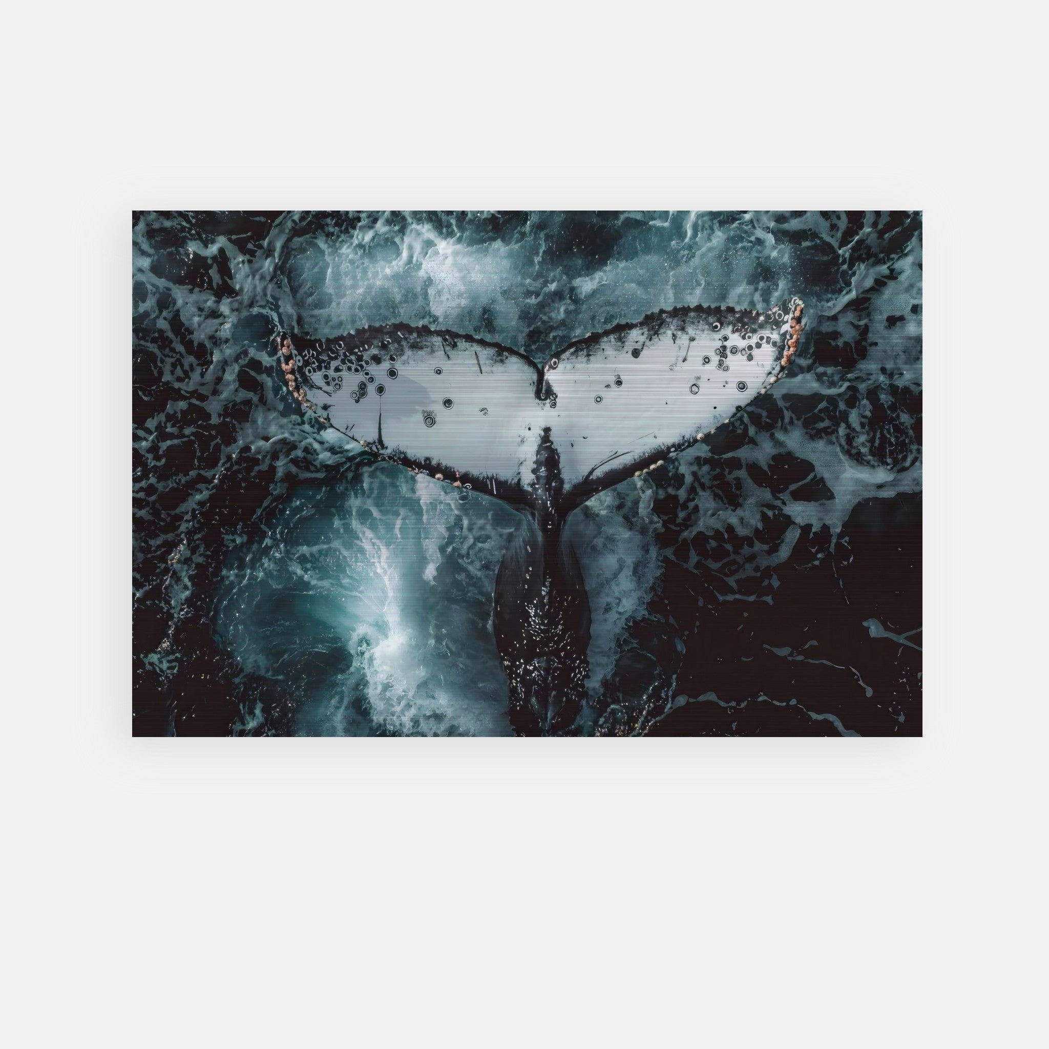 Aerial view of a humpback whale tail emerging from dark ocean waves in a brushed metal art print.