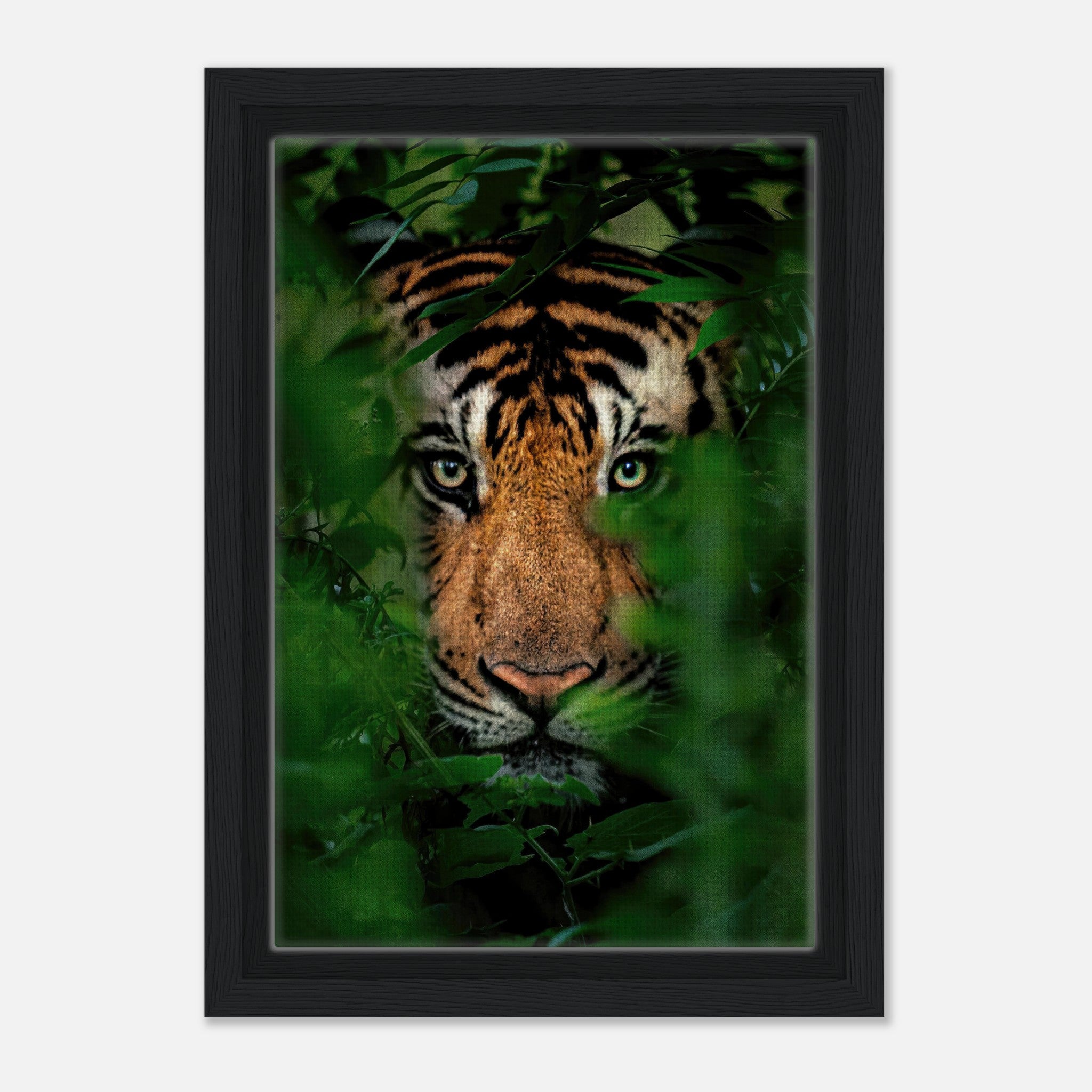 Tiger Through Jungle Framed Canvas Print showcasing a fierce tiger's gaze through lush green foliage.