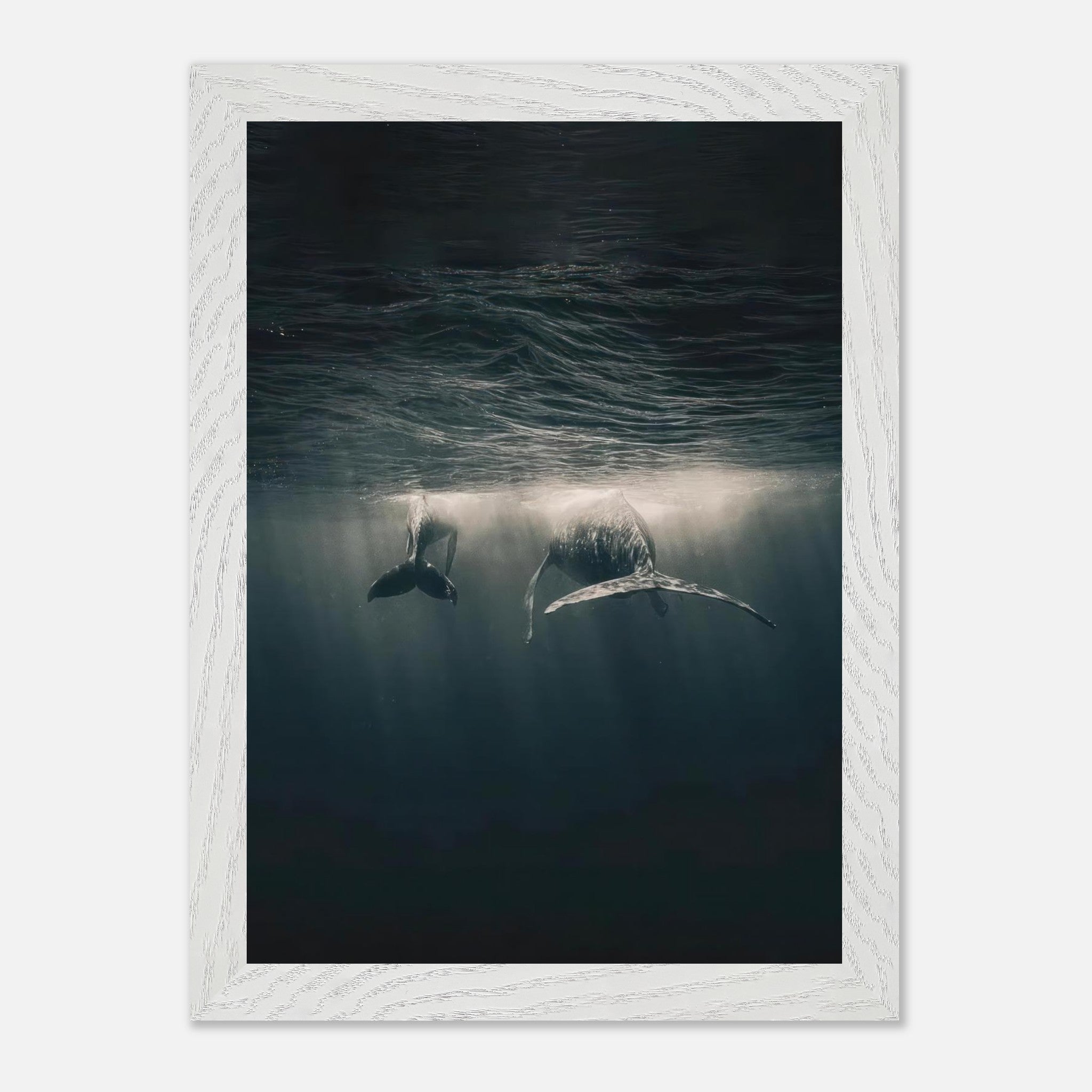 Whales swimming gracefully underwater captured in a vintage framed print, evoking tranquility and deep-sea beauty.