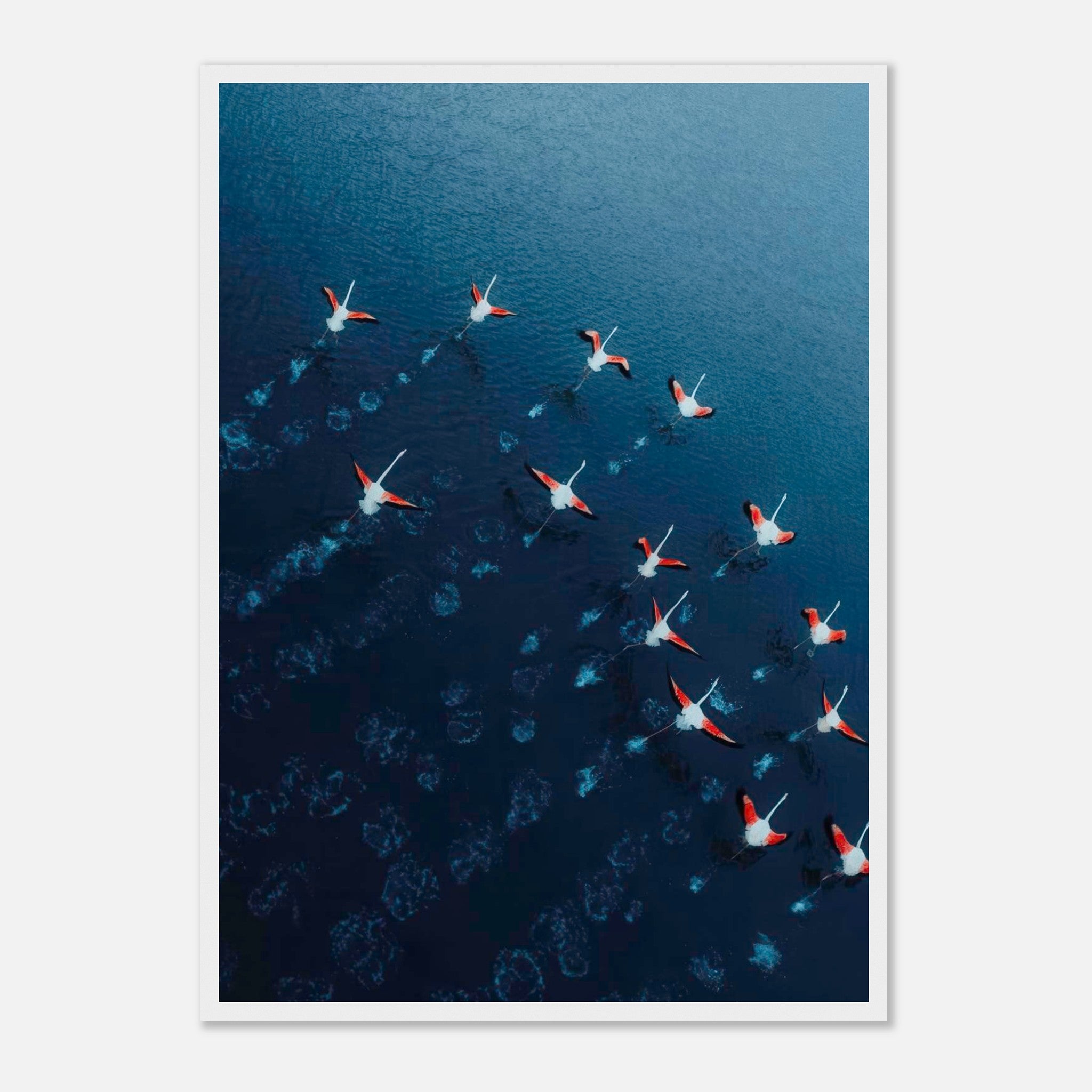Aerial view of flamingos in flight over deep blue waters, showcasing vibrant pink and navy tones in a framed print.