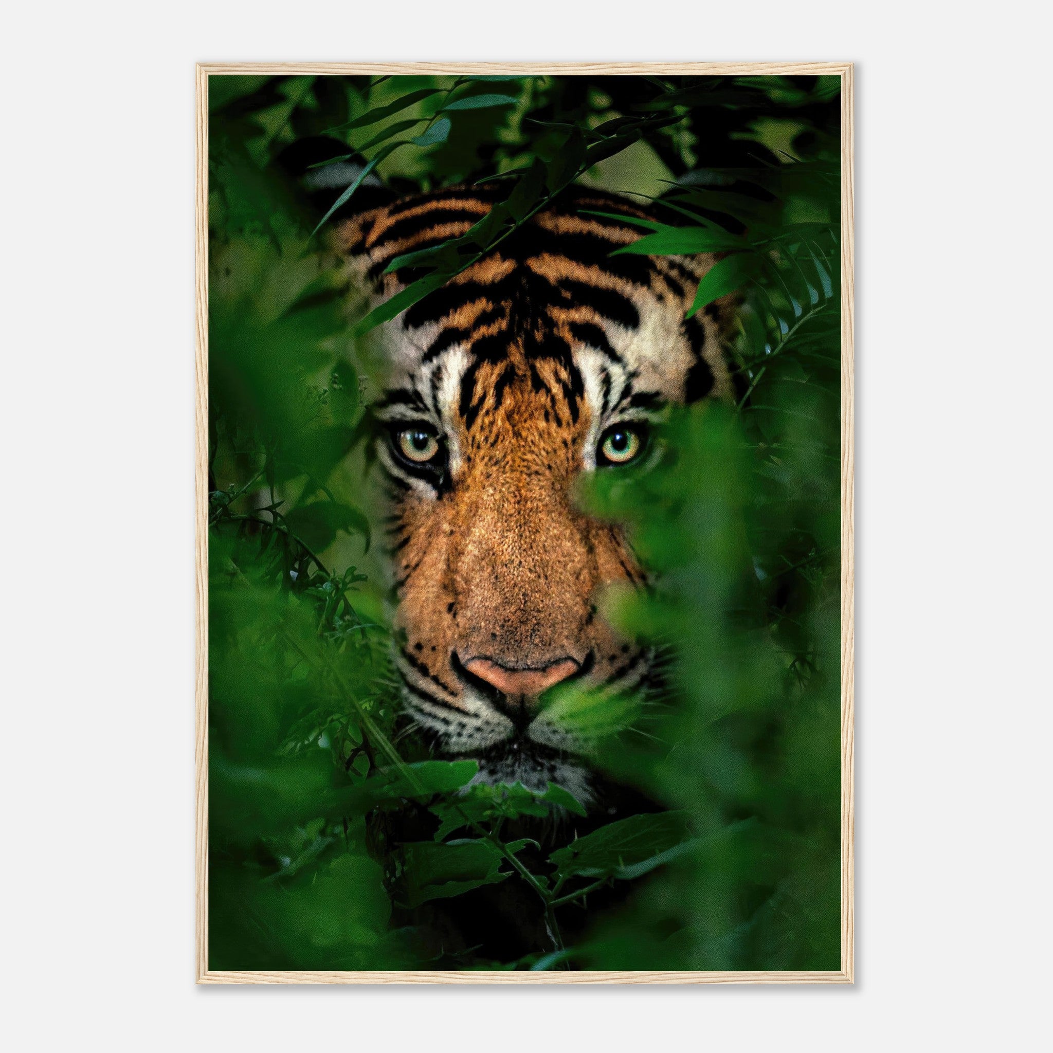 Realistic framed print of a tiger peering through lush jungle foliage, showcasing vibrant colors and detailed expression.