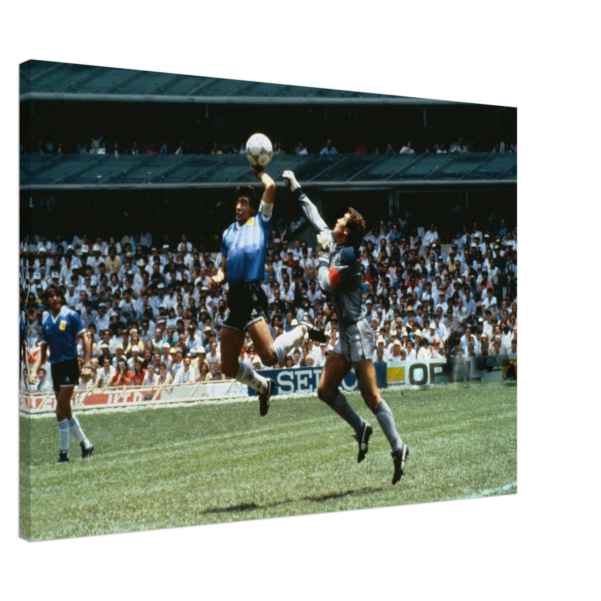 8e7921f5-ed0f-4eda-9b38-6f48717a63f8