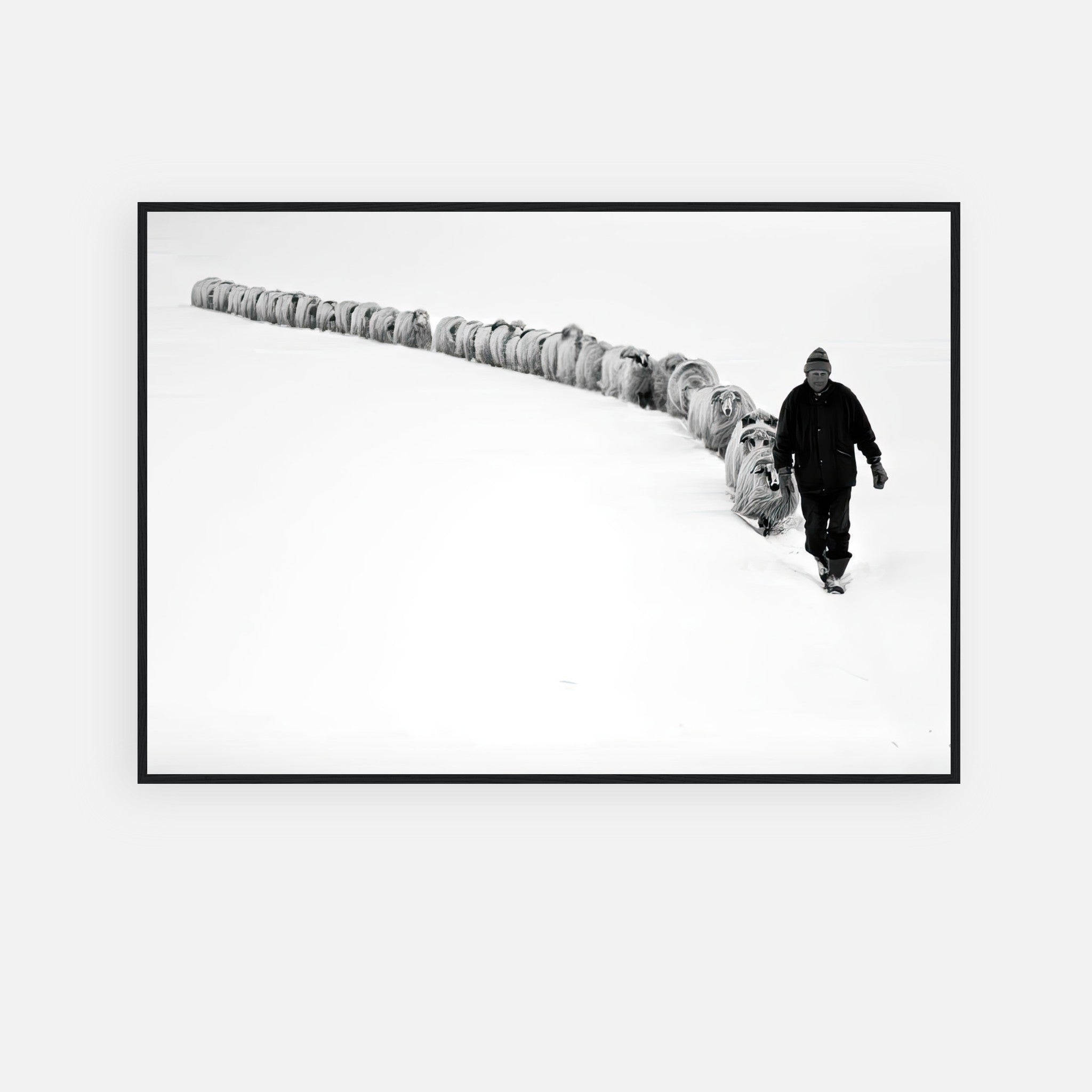 Black-and-white print of a shepherd guiding sheep through a snowy landscape, symbolizing resilience and tradition.