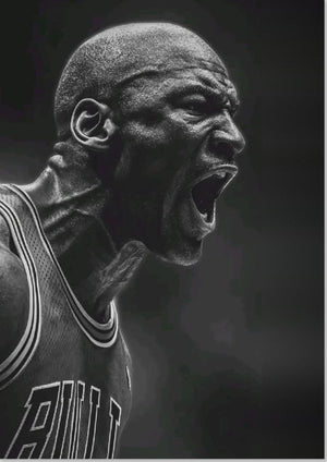 Michael Jordan Chicago Bulls
