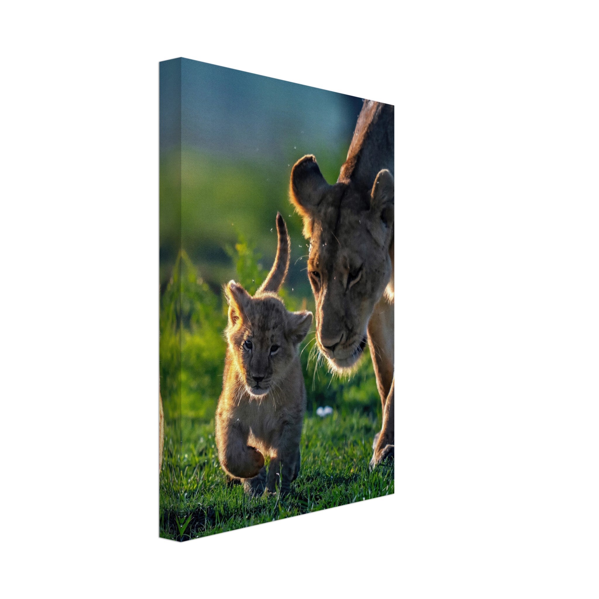 Protective lion mother and cub canvas artwork showcasing love and strength in nature.