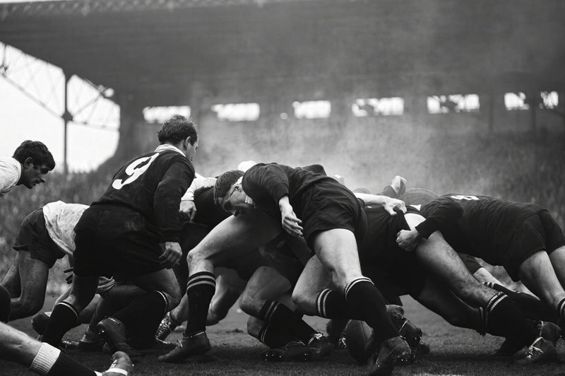 France vs New Zealand Rugby 1967
