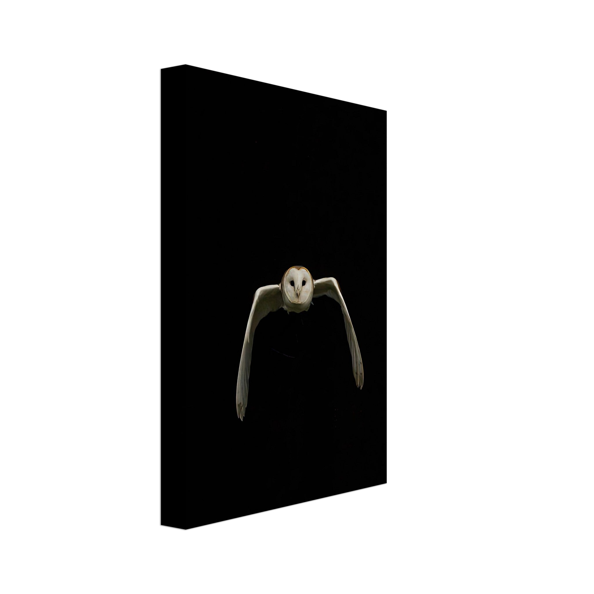 Owl canvas artwork featuring an owl in flight against a deep black background, perfect for nature lovers.