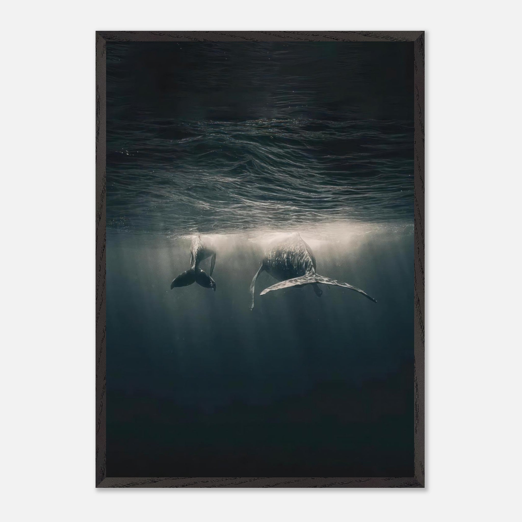 Underwater vintage framed print featuring majestic whales gliding beneath ocean light, evoking tranquility and wonder.
