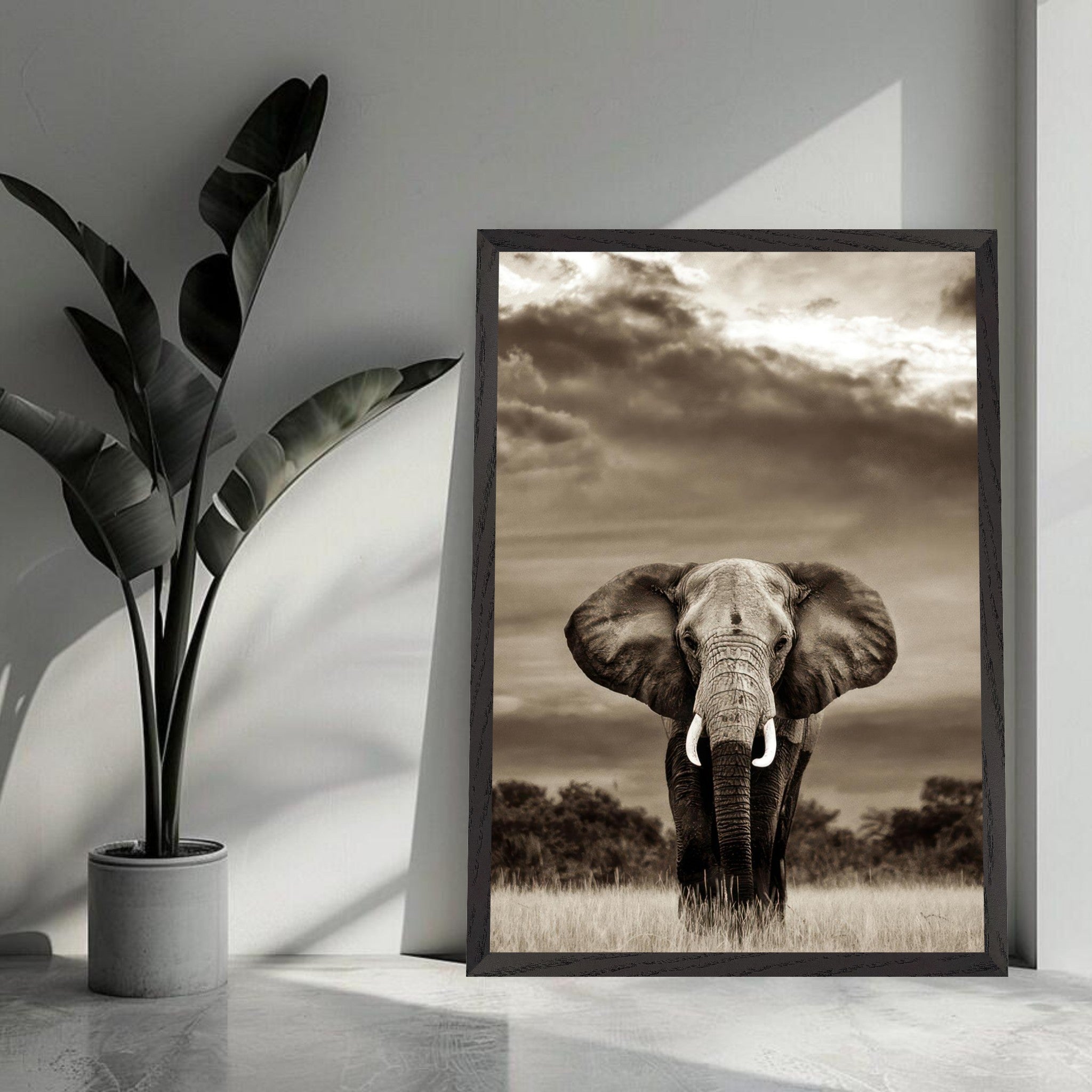 Elegant black-and-white elephant portrait photography print, showcasing strength and grace in a natural setting.