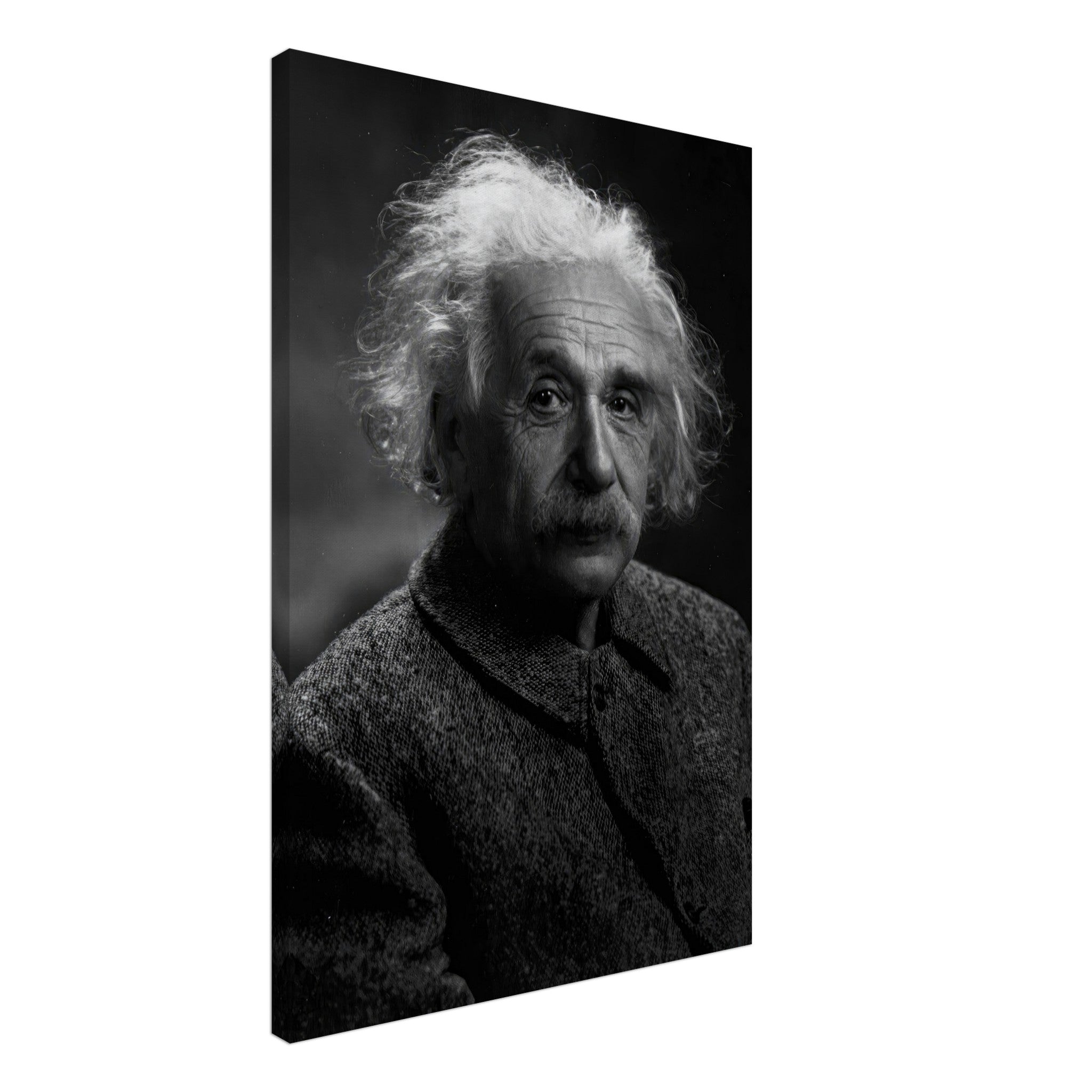Black-and-white canvas print of Albert Einstein showcasing his wise expression and unkempt hair.